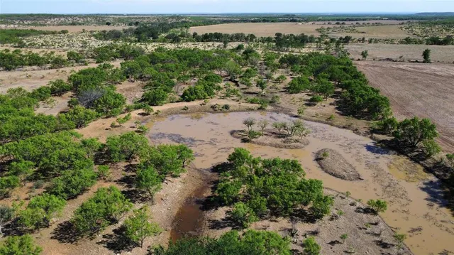 a view of a lake with beach