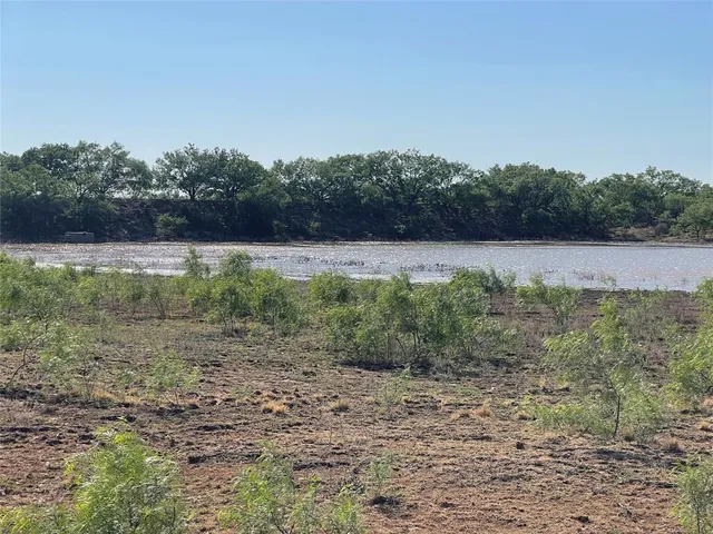a view of a dry yard