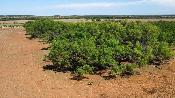 a view of dirt yard with a tree