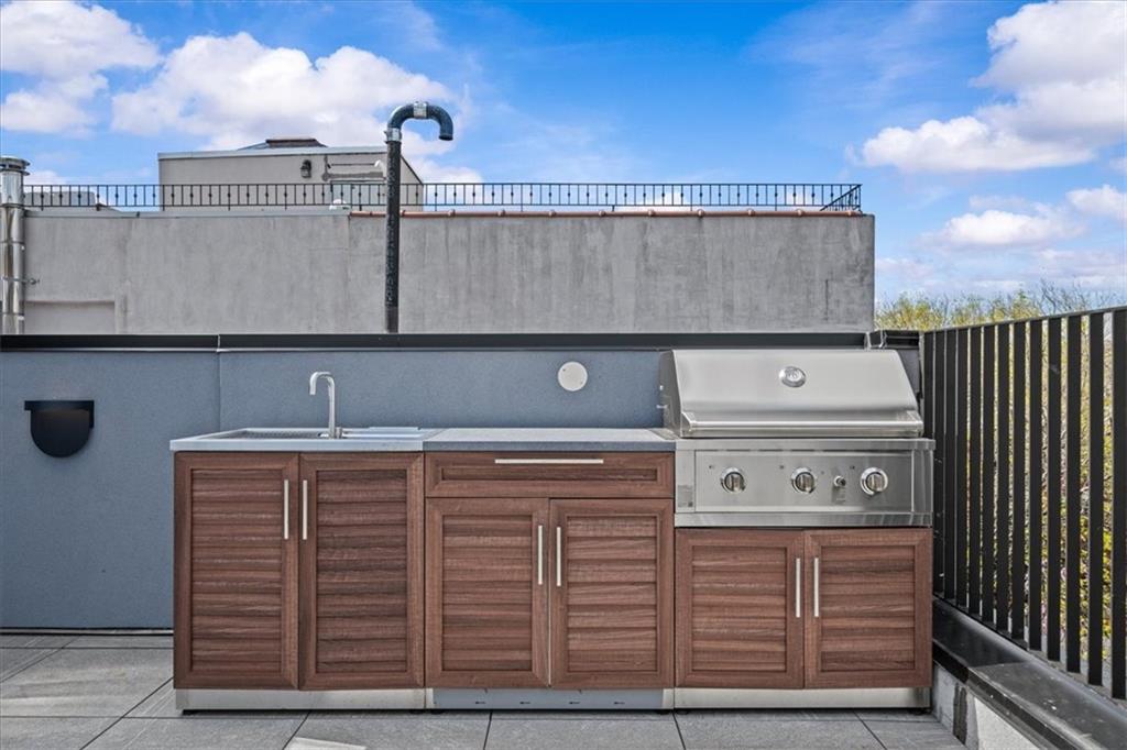 147 Luquer Street, Unit 3 Brooklyn, NY 11231 - Photo 3 of 17 BBQ island