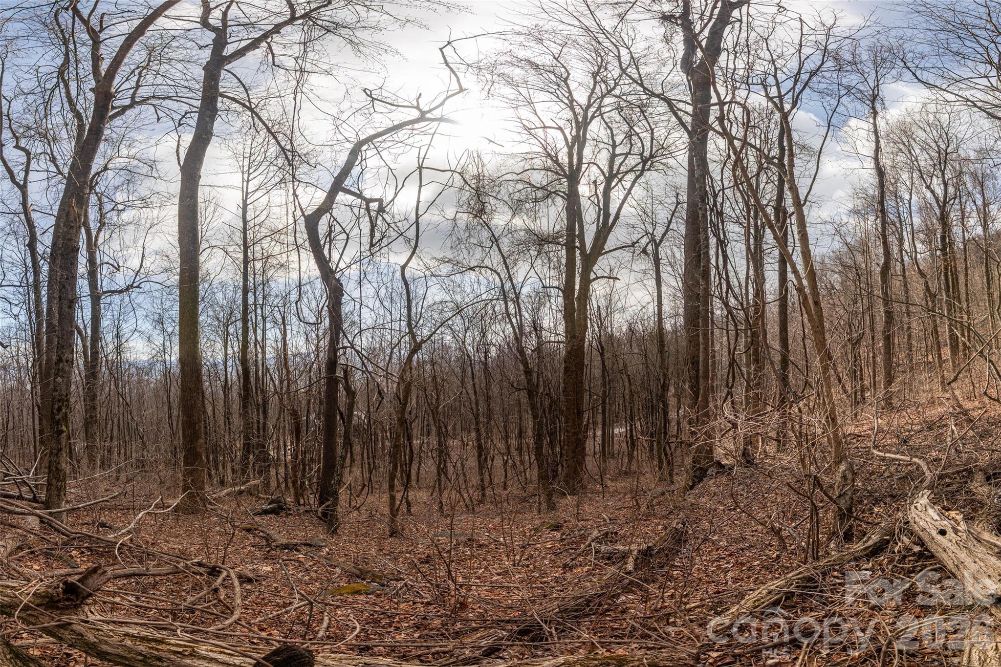 630 Spring Cove Ln Mill Spring Mill Spring, NC 28756 - Photo 12 of 39