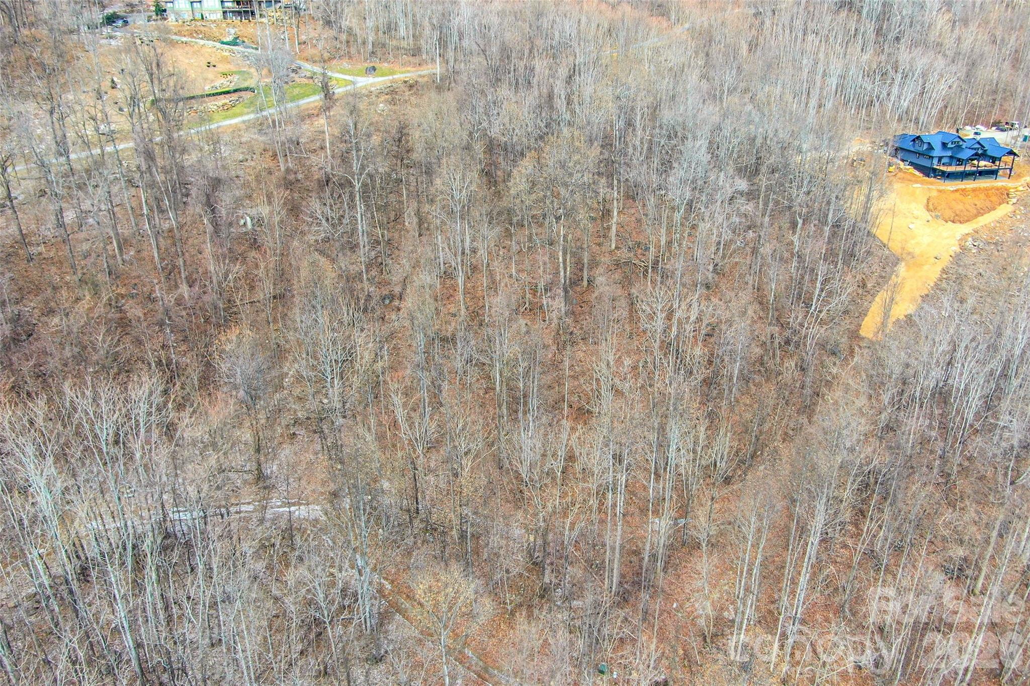 630 Spring Cove Ln Mill Spring Mill Spring, NC 28756 - Photo 15 of 39