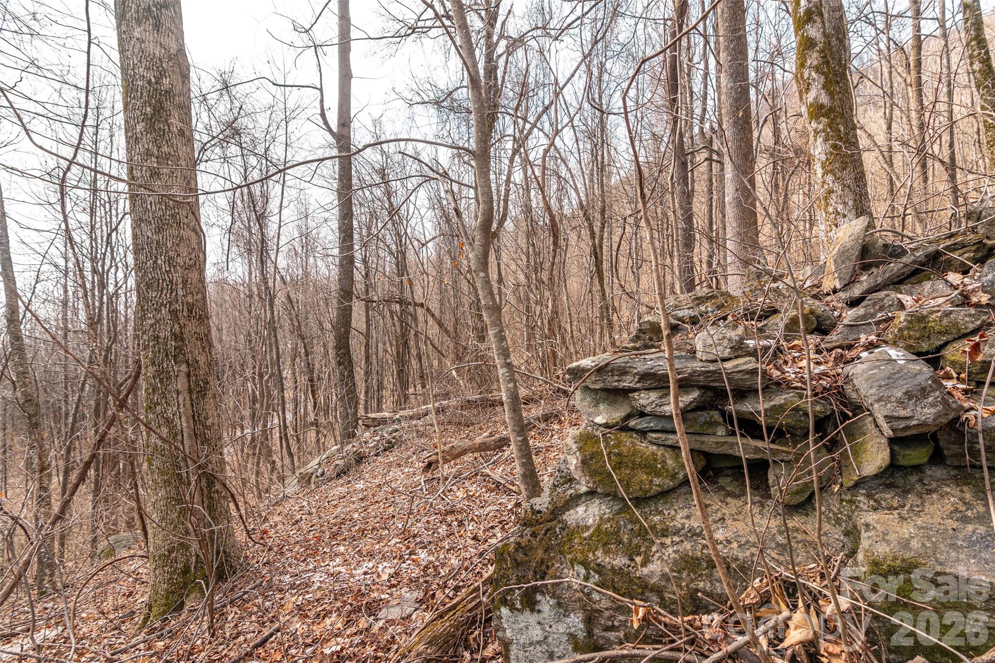 630 Spring Cove Ln Mill Spring Mill Spring, NC 28756 - Photo 17 of 39 a backyard of a house with table and chairs