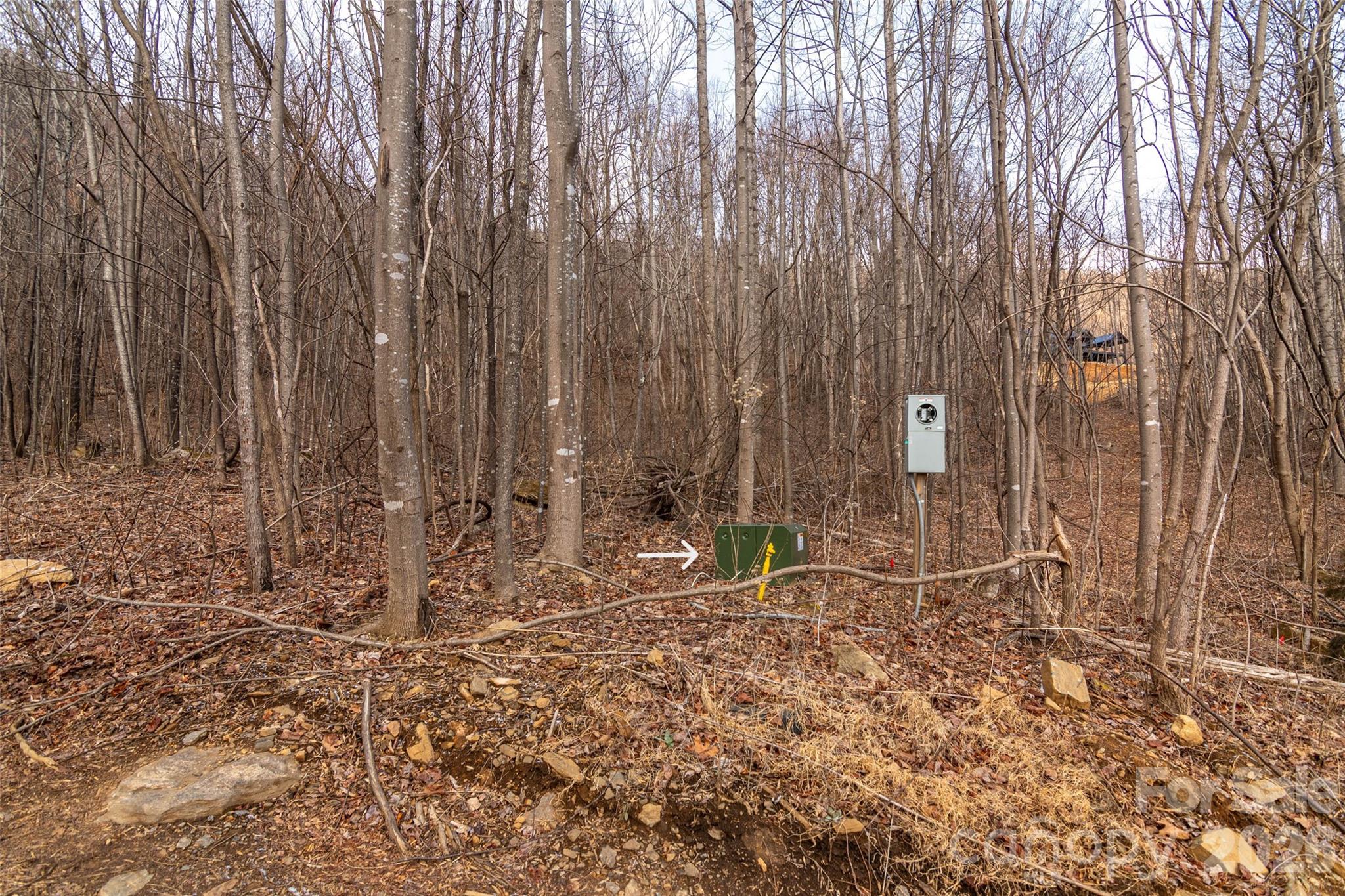630 Spring Cove Ln Mill Spring Mill Spring, NC 28756 - Photo 2 of 39 a backyard of a house