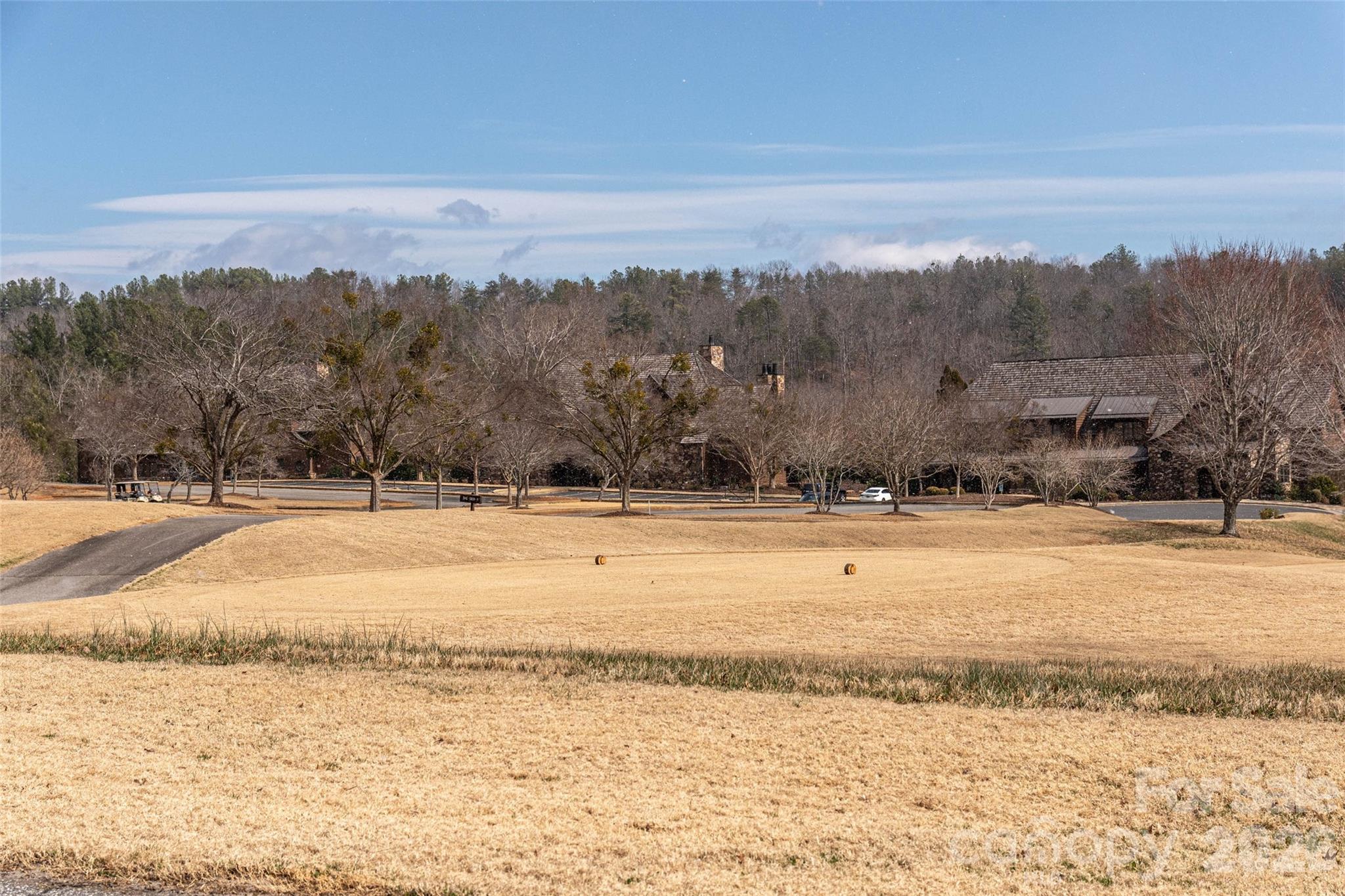 630 Spring Cove Ln Mill Spring Mill Spring, NC 28756 - Photo 29 of 39 a view of a lake with a mountain