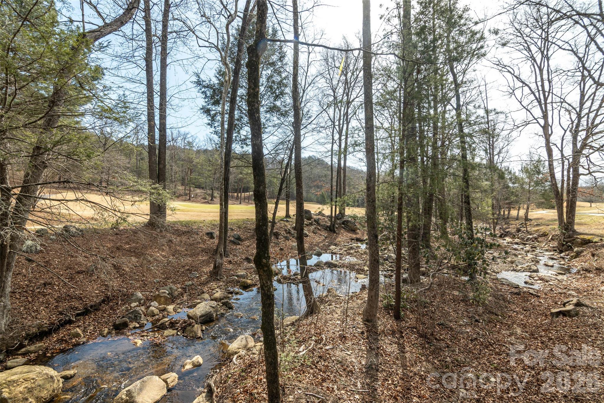 630 Spring Cove Ln Mill Spring Mill Spring, NC 28756 - Photo 30 of 39 a backyard of a house with lots of green space