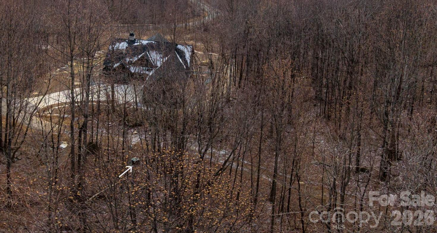 630 Spring Cove Ln Mill Spring Mill Spring, NC 28756 - Photo 3 of 39 a view of outdoor space and yard