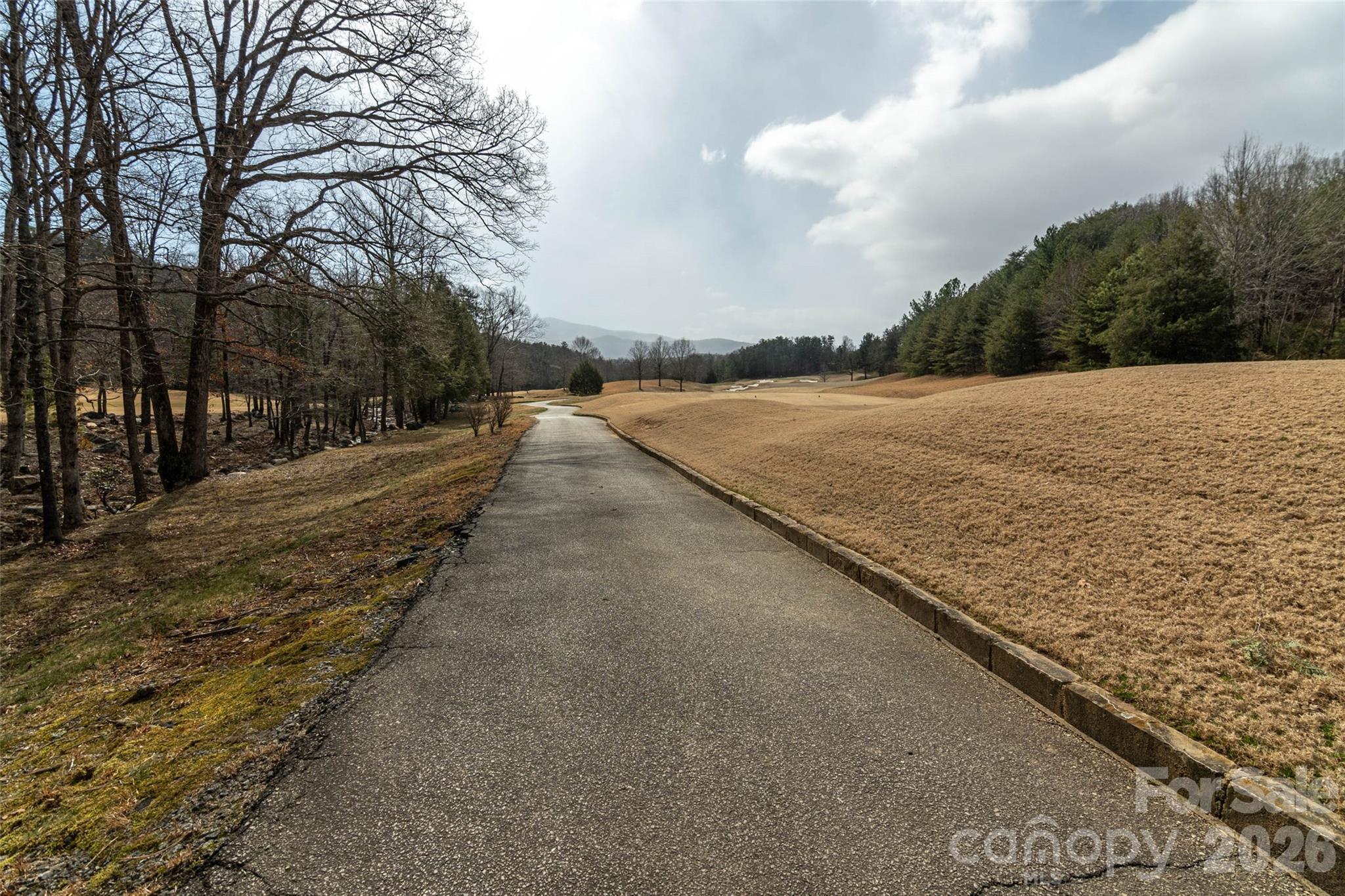 630 Spring Cove Ln Mill Spring Mill Spring, NC 28756 - Photo 35 of 39 a view of an ocean