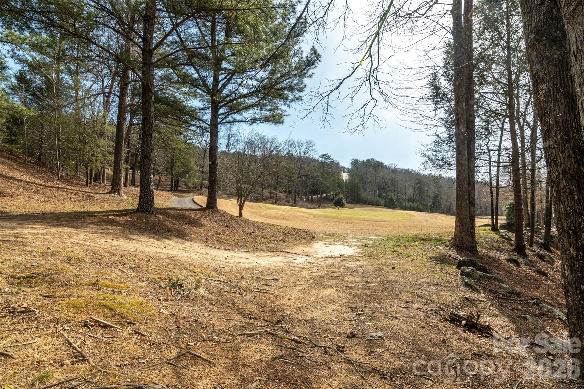 630 Spring Cove Ln Mill Spring Mill Spring, NC 28756 - Photo 36 of 39 a view of yard with trees