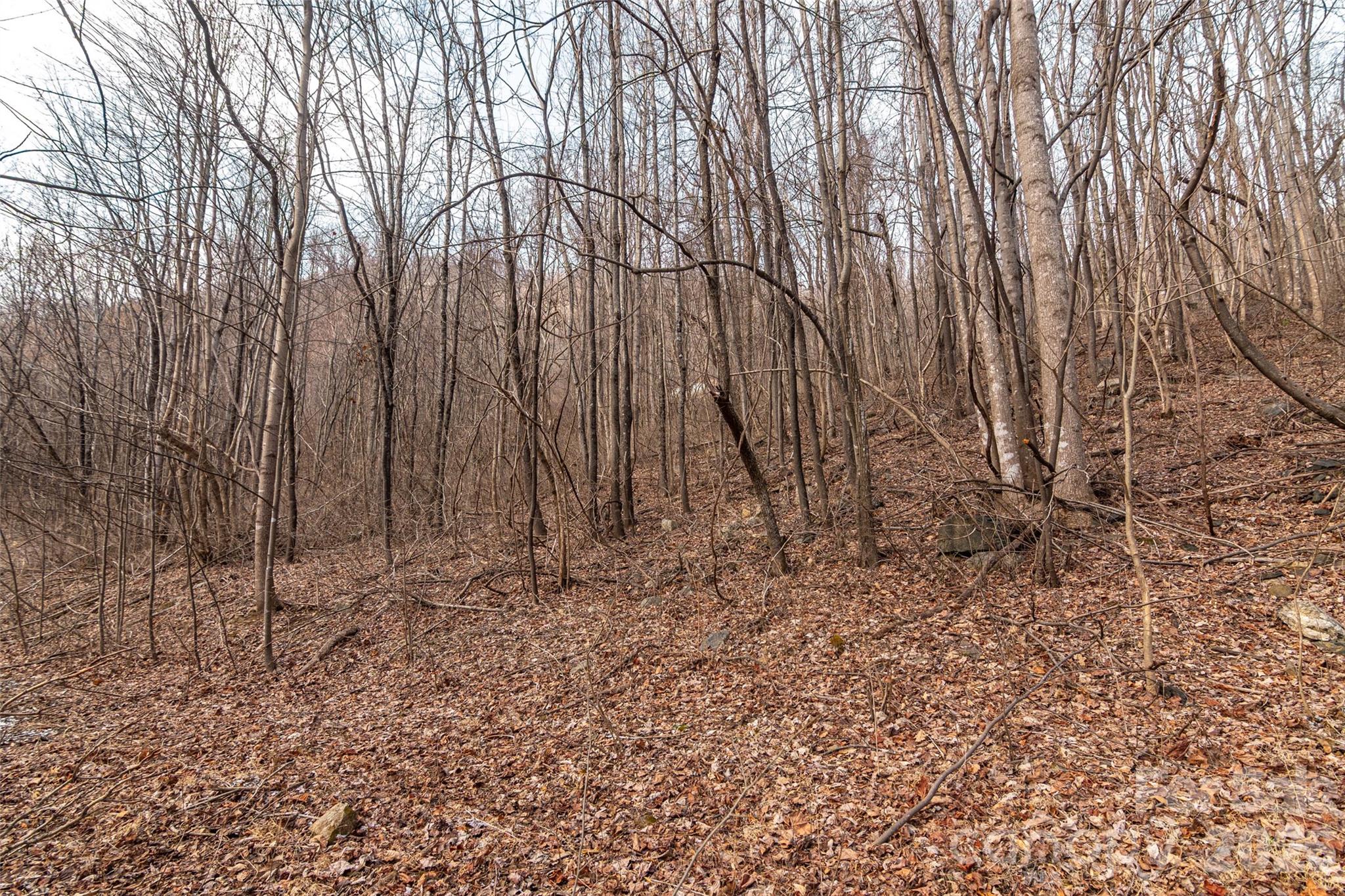 630 Spring Cove Ln Mill Spring Mill Spring, NC 28756 - Photo 10 of 39 a view of wooden fence