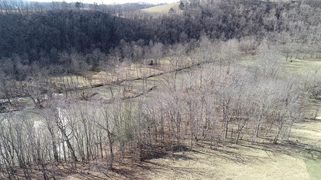 Tbd Major Grahams Road, Unit 13 Max Meadows, VA 24360 - Photo 10 of 20 Gallery Image 10