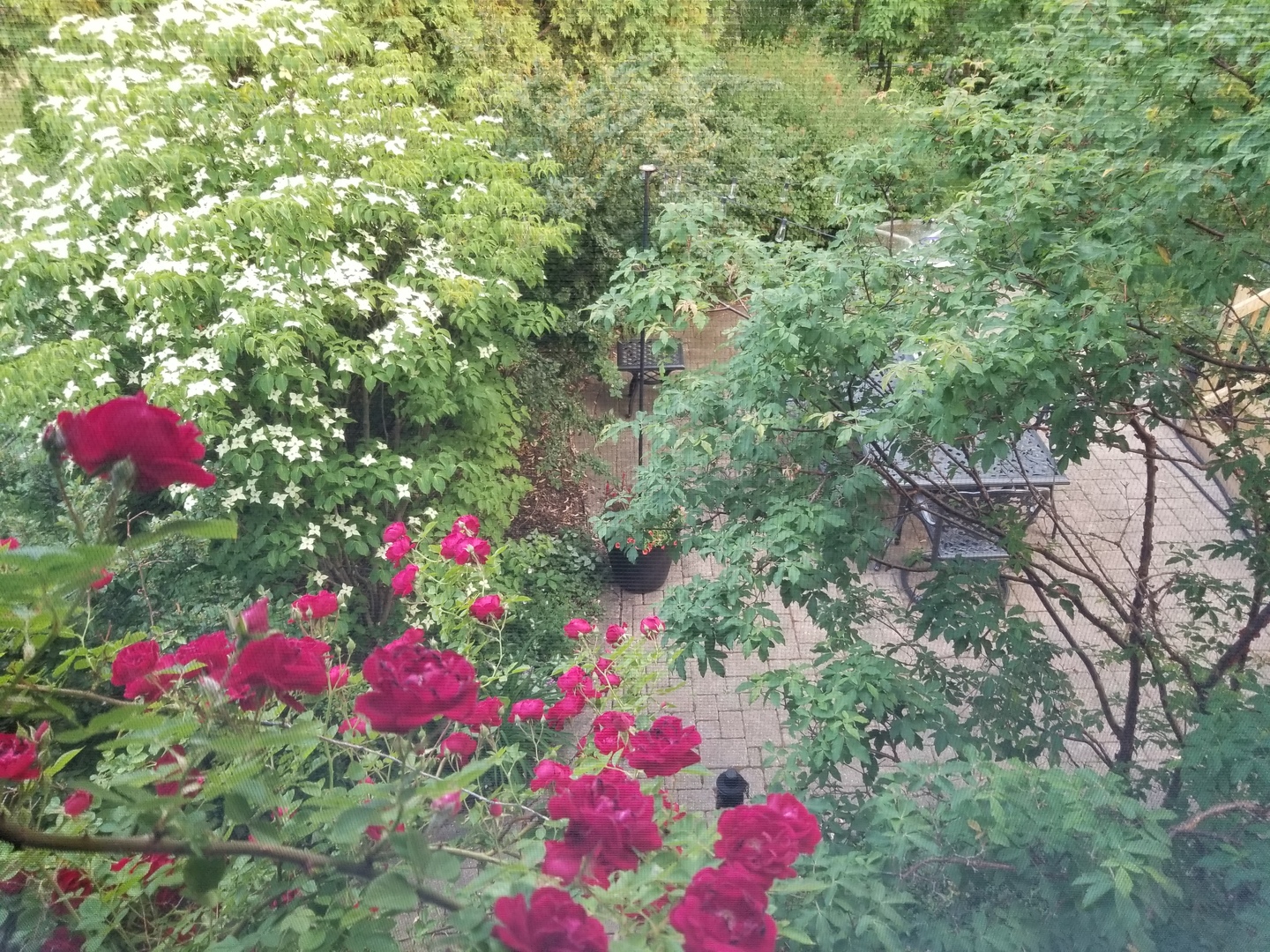 1095 Lancaster Court Hoffman Estates, IL 60169 - Photo 33 of 39