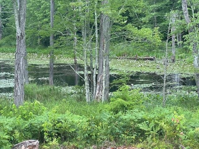 427 Poverty Plains Road Warner, NH 03278 - Photo 8 of 9 Gallery Image 8