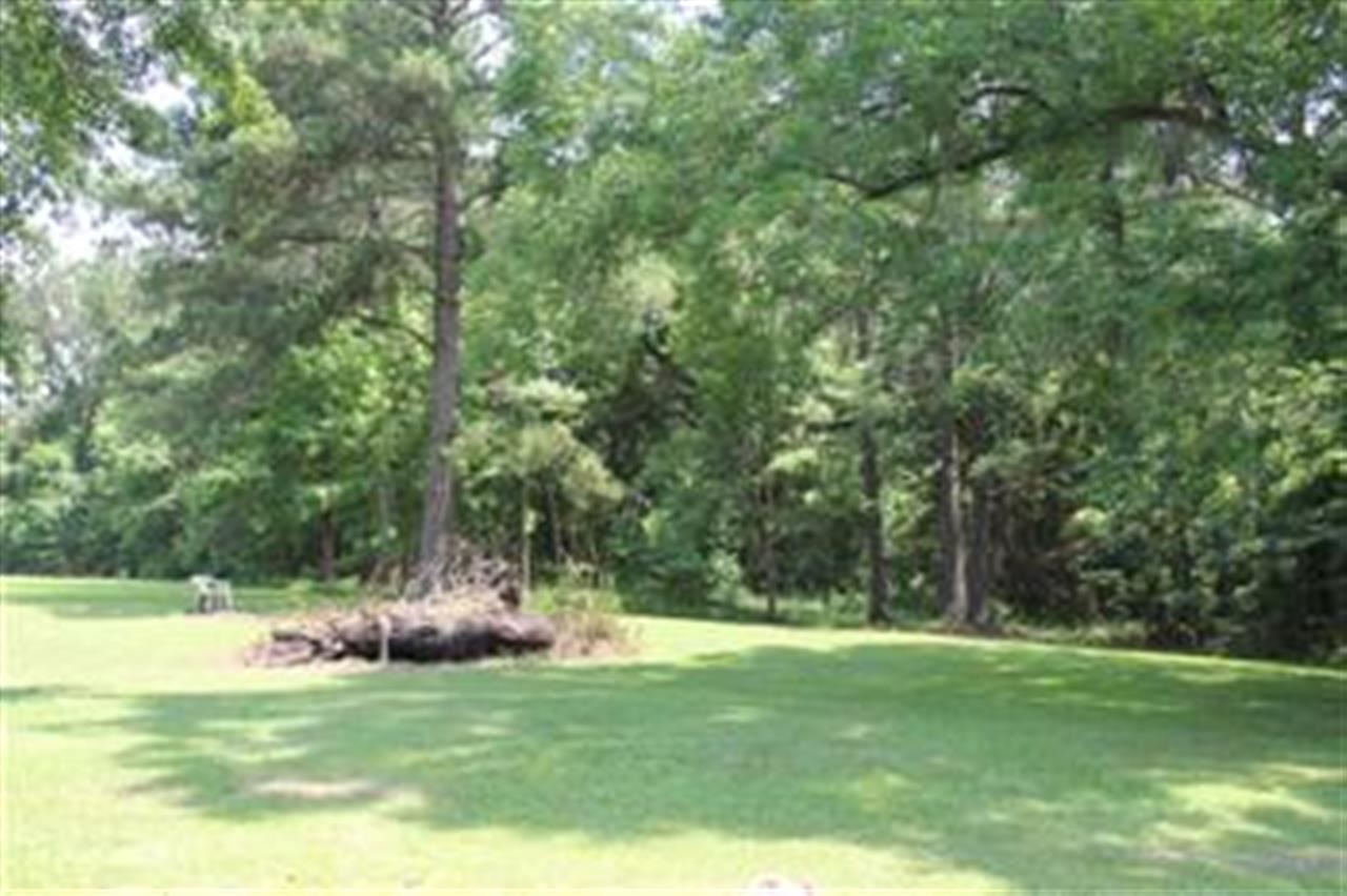 111 Springbrook Road Havana, FL 32333 - Photo 1 of 19 Gallery Image 1