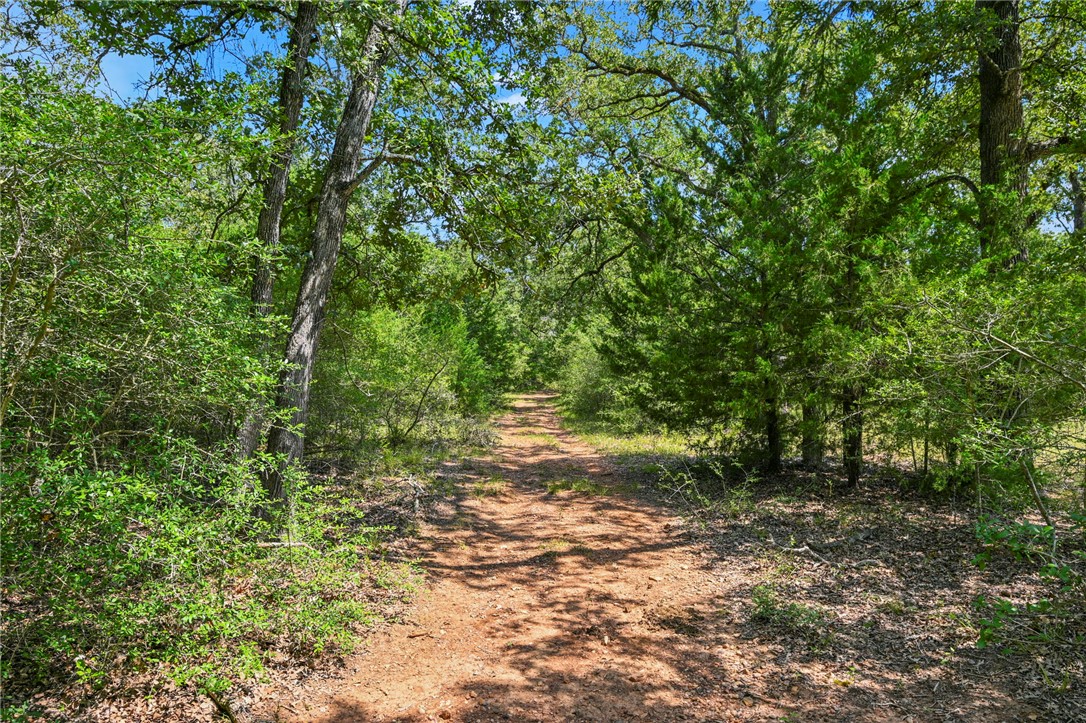 13849 Ferrill Creek Road Bryan, TX 77808 - Photo 9 of 17 Gallery Image 9