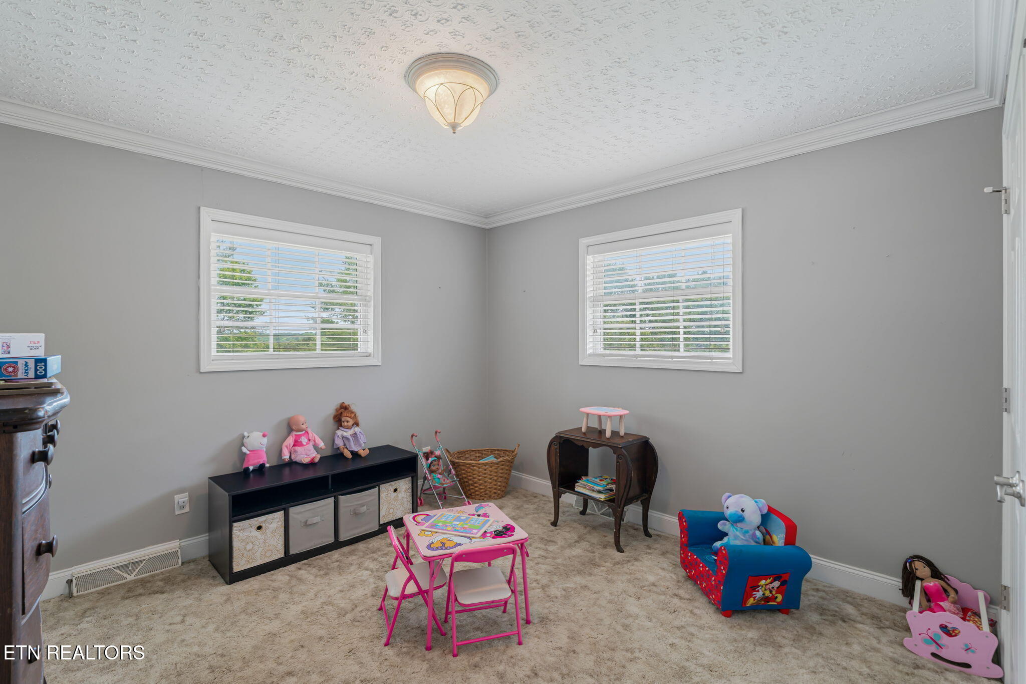 9402 Johnson Road Strawberry Plains, TN 37871 - Photo 29 of 60 31-web-or-mls-9402 Johnson Road-7