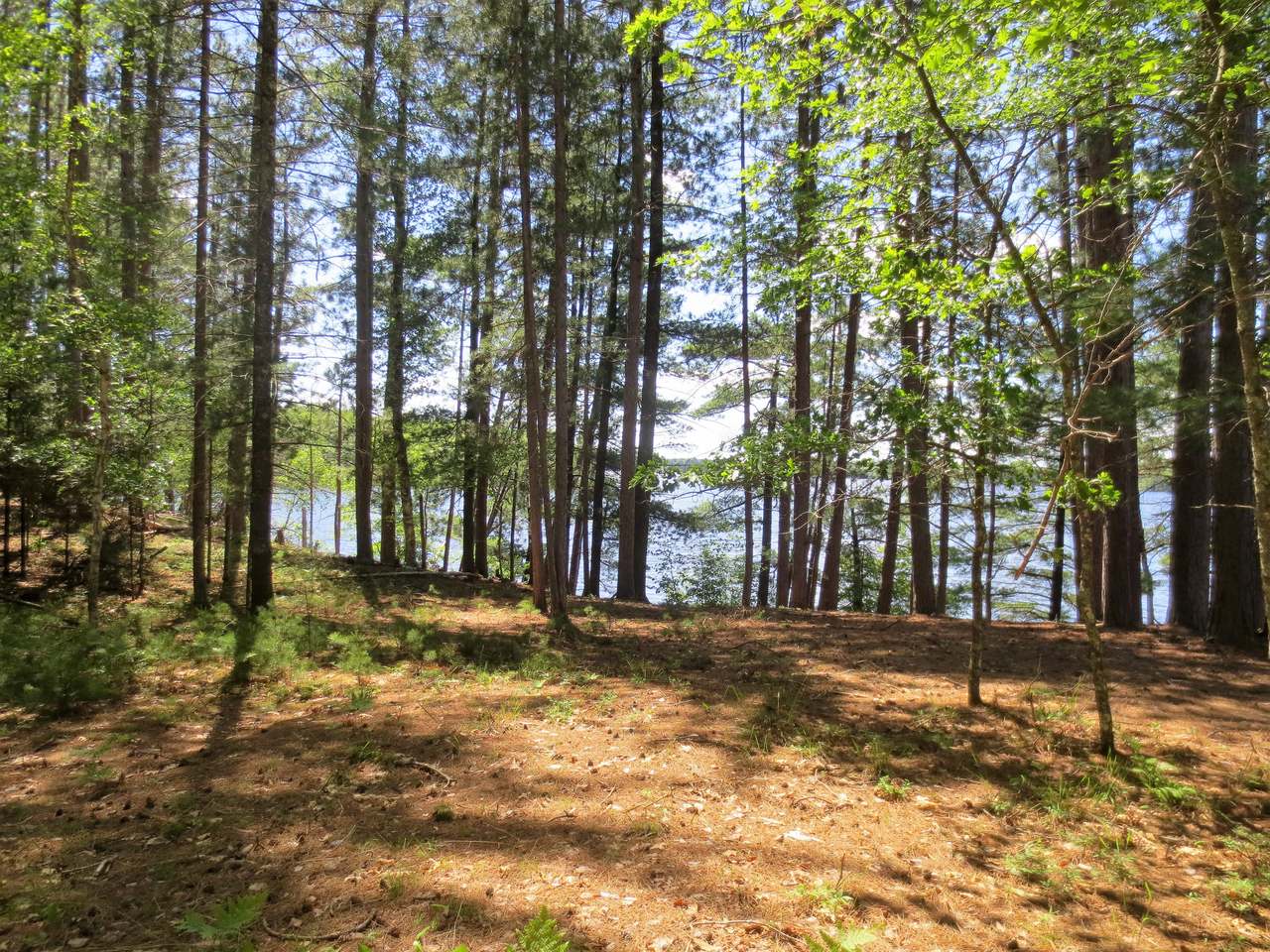 On Headquarters Trail Rhinelander, WI 54501 - Photo 8 of 10 Gallery Image 8