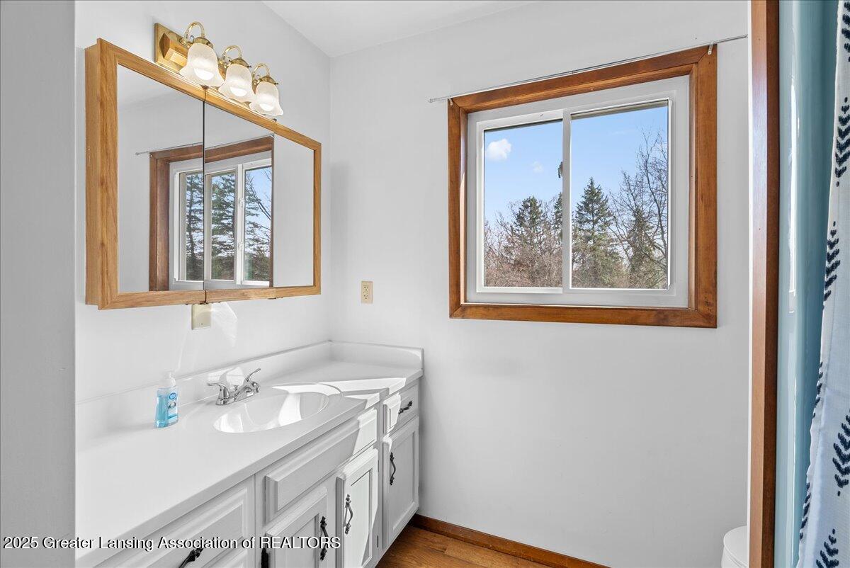 3095 West Island Road St. Johns, MI 48879 - Photo 14 of 39 29-Media Jett - 27