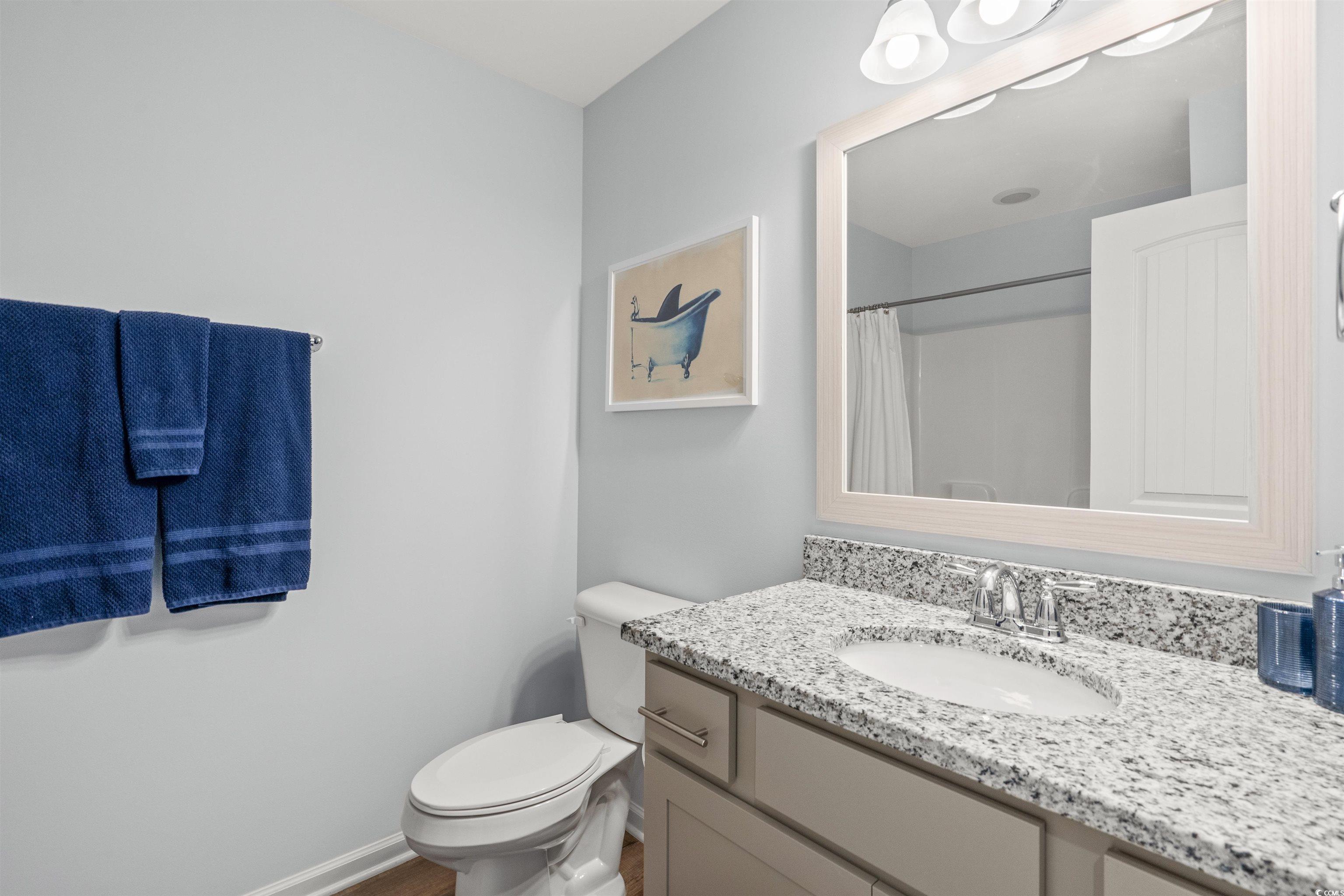 127 Kingston Bluff Drive Longs, SC 29568 - Photo 24 of 31