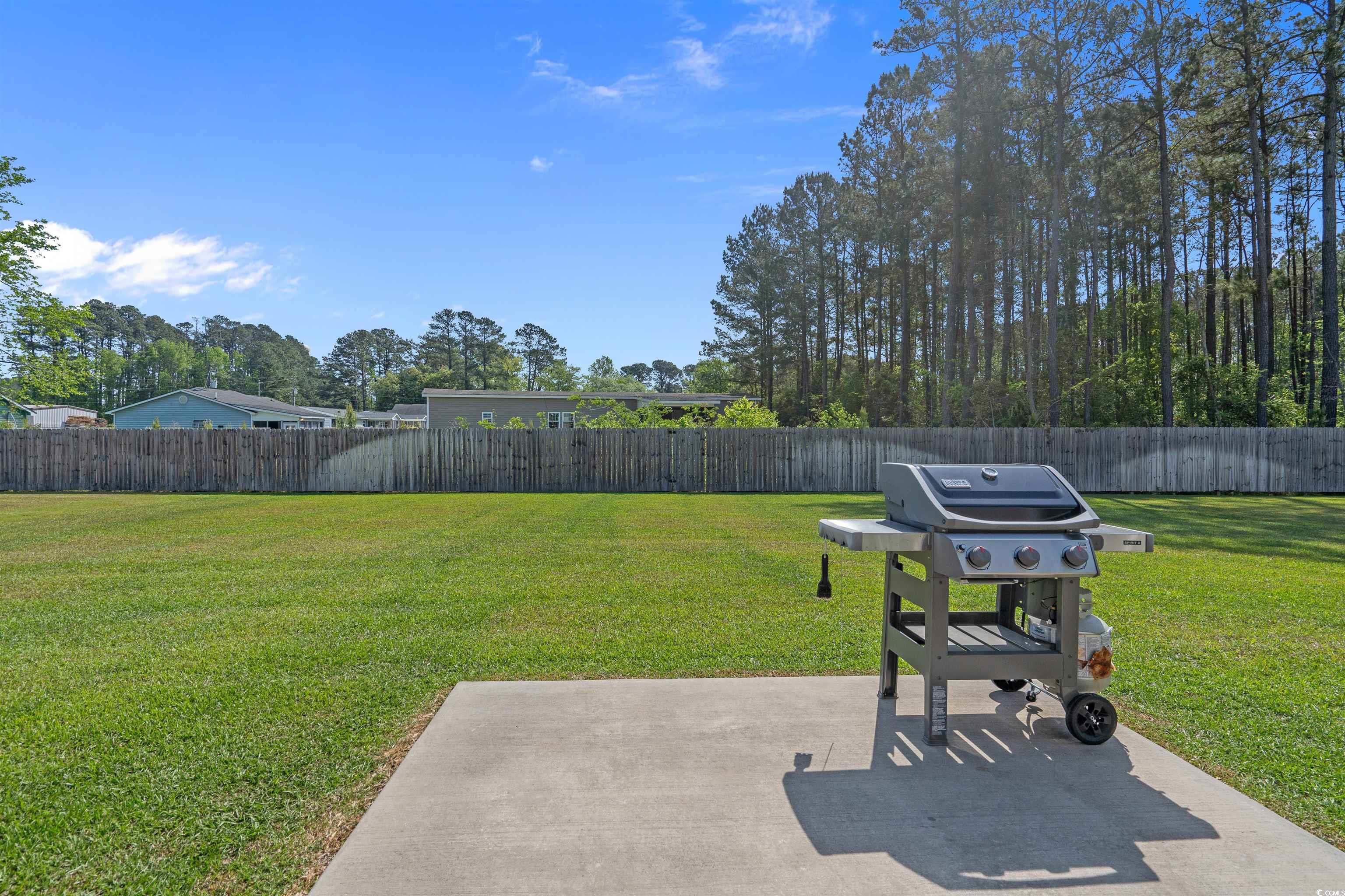 127 Kingston Bluff Drive Longs, SC 29568 - Photo 27 of 31