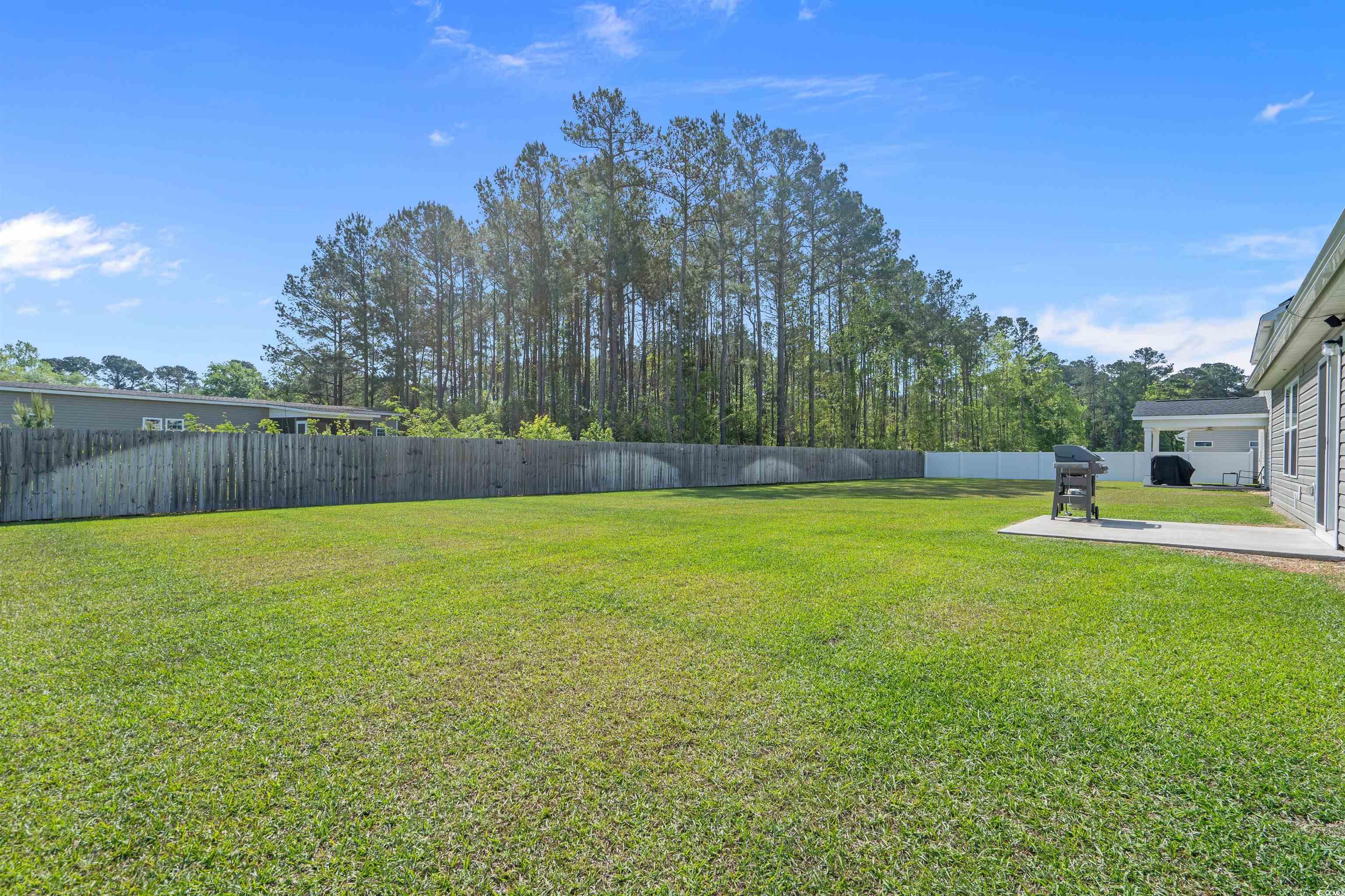 127 Kingston Bluff Drive Longs, SC 29568 - Photo 29 of 31