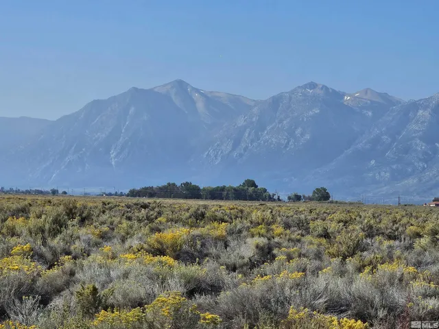 a view of a big building with mountain view