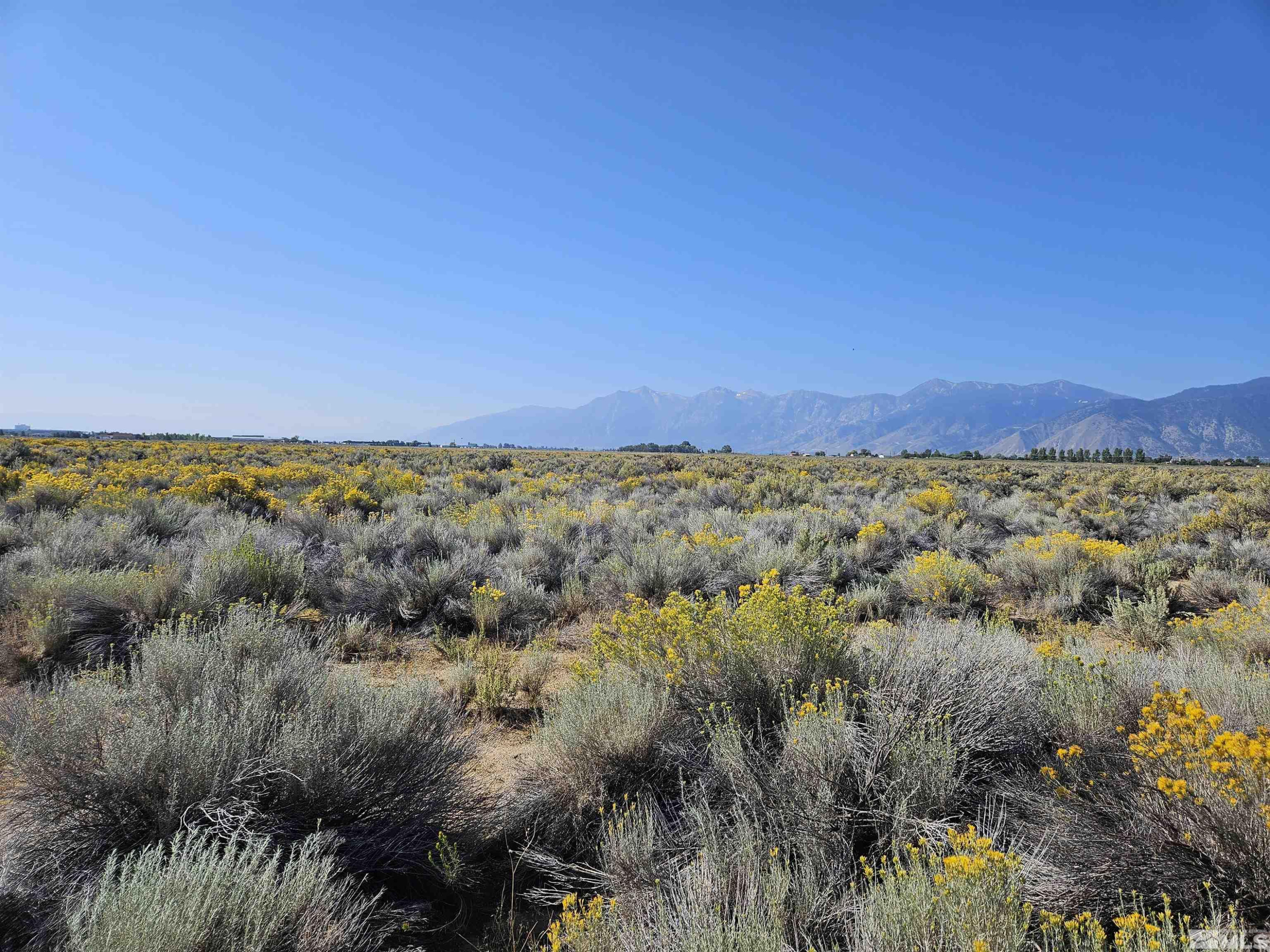 1205 Stephanie Way, Unit 57 Minden, NV 89423 - Photo 15 of 27 a view of city and mountain