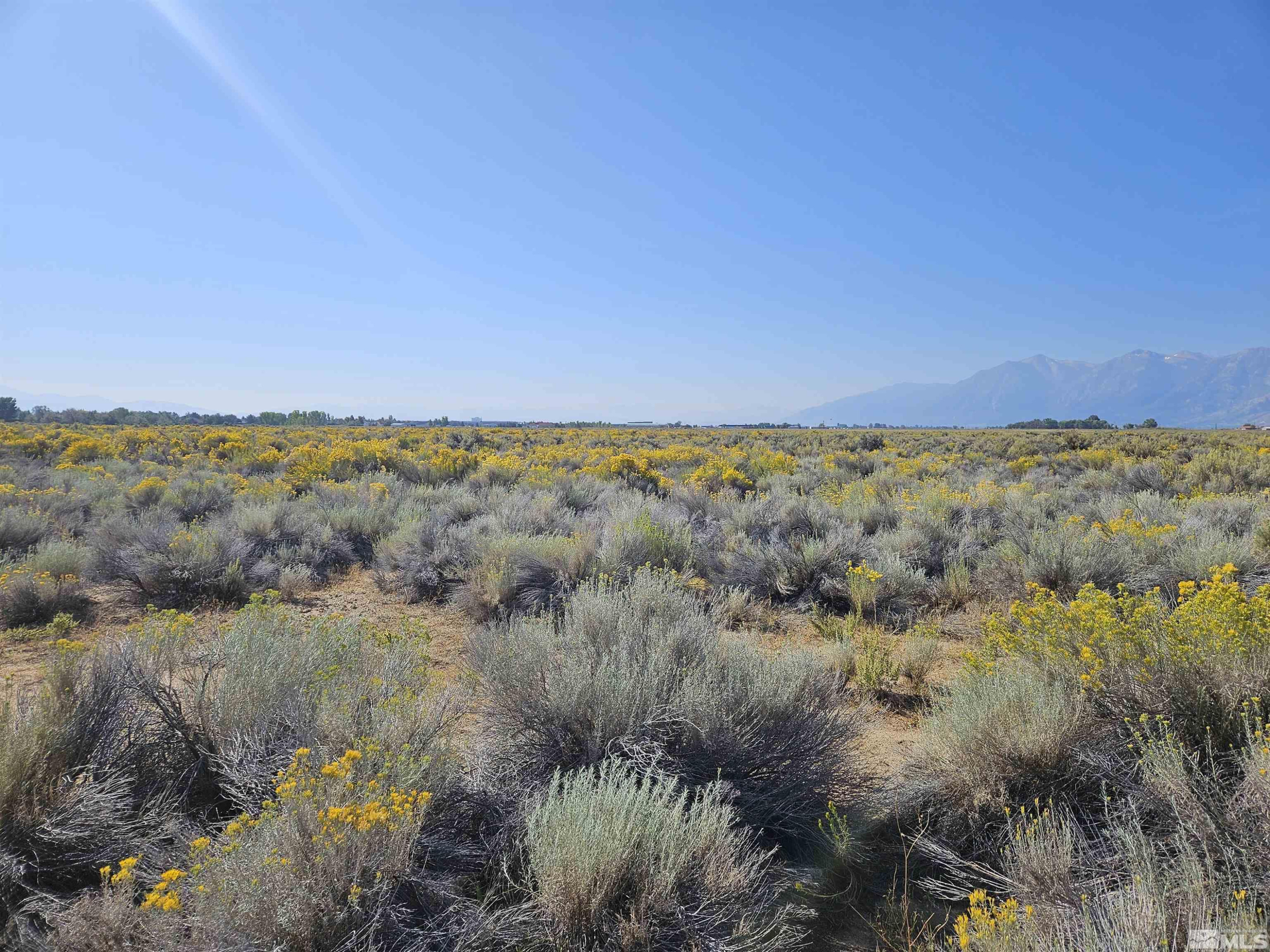 1205 Stephanie Way, Unit 57 Minden, NV 89423 - Photo 16 of 27 a view of lake and mountain