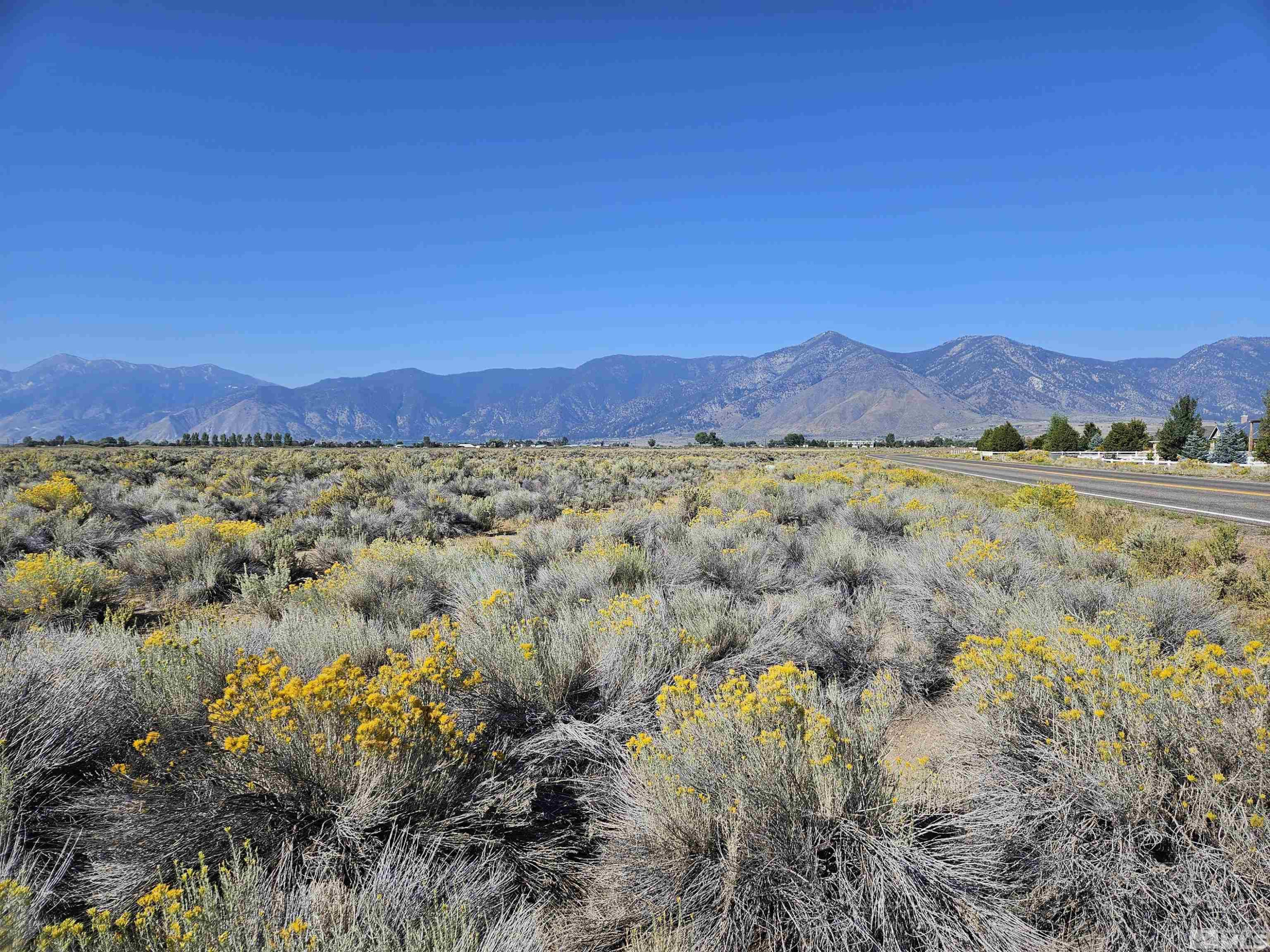 1205 Stephanie Way, Unit 57 Minden, NV 89423 - Photo 18 of 27 a view of an outdoor space and mountain view