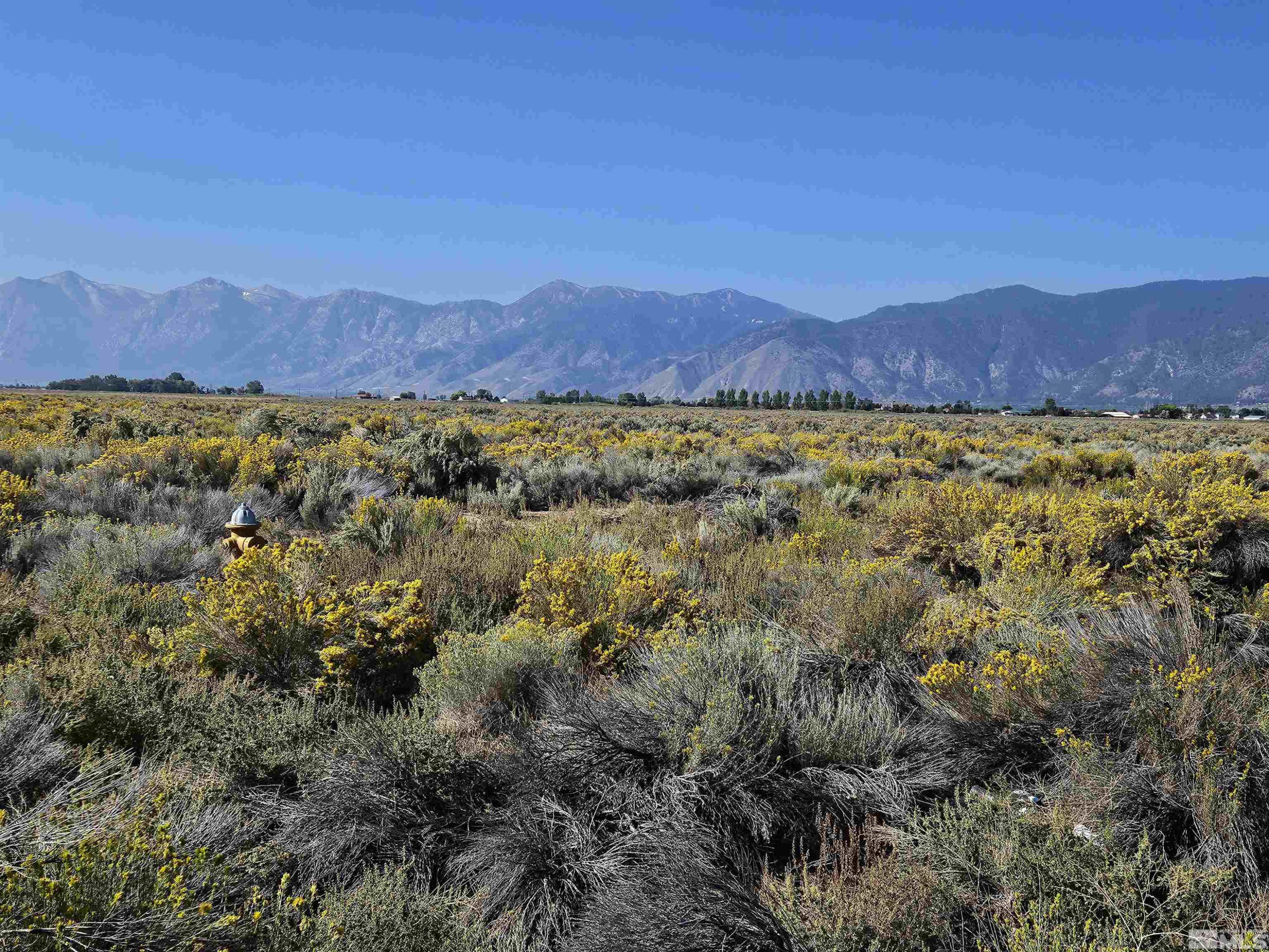 1205 Stephanie Way, Unit 57 Minden, NV 89423 - Photo 20 of 27 a view of a lush green hillside and houses