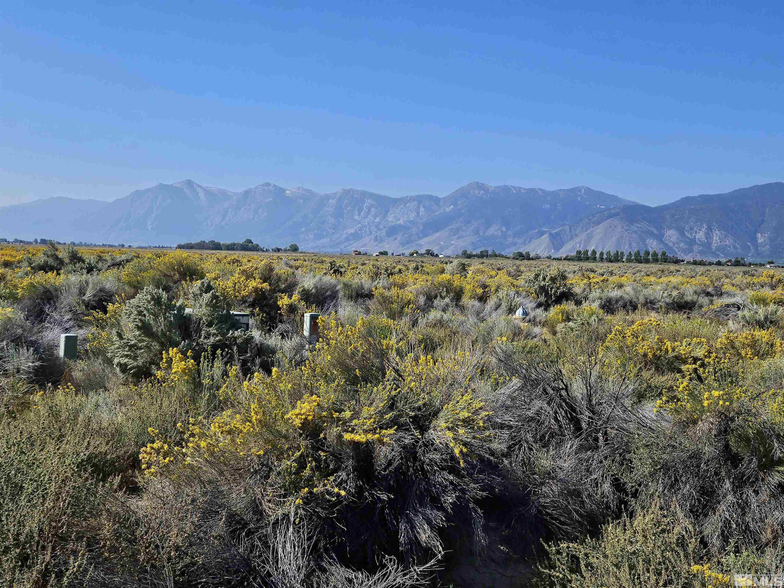 1205 Stephanie Way, Unit 57 Minden, NV 89423 - Photo 21 of 27 a view of an outdoor space with mountain view