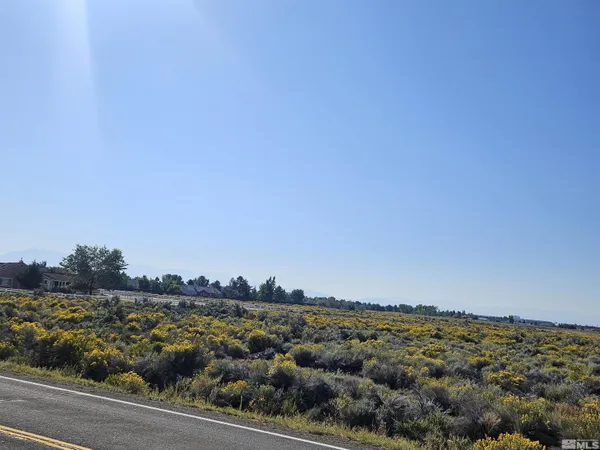 a view of a field with trees in background