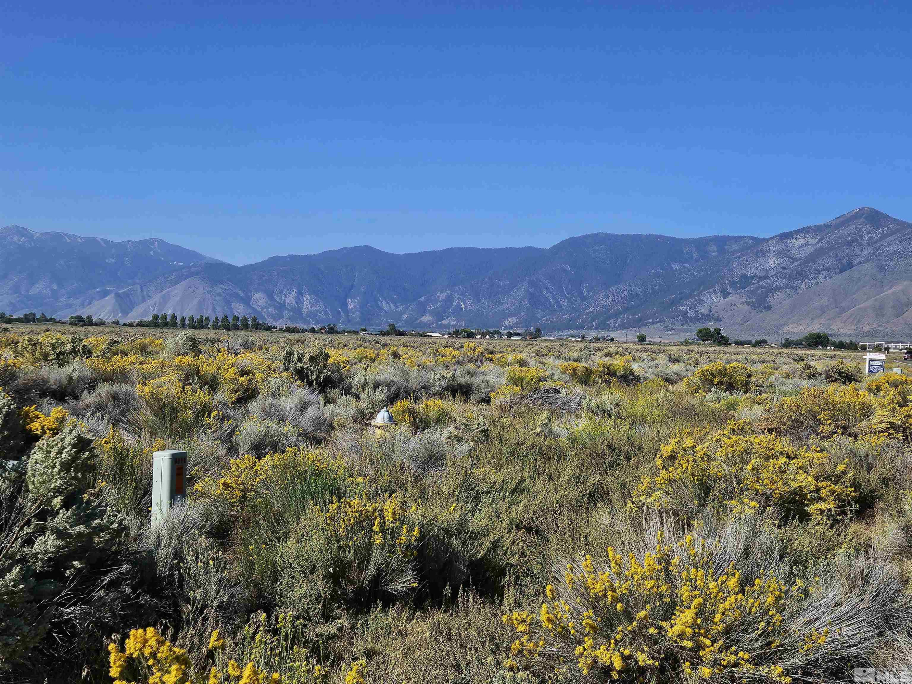 1205 Stephanie Way, Unit 57 Minden, NV 89423 - Photo 26 of 27 a view of an lush green mountain
