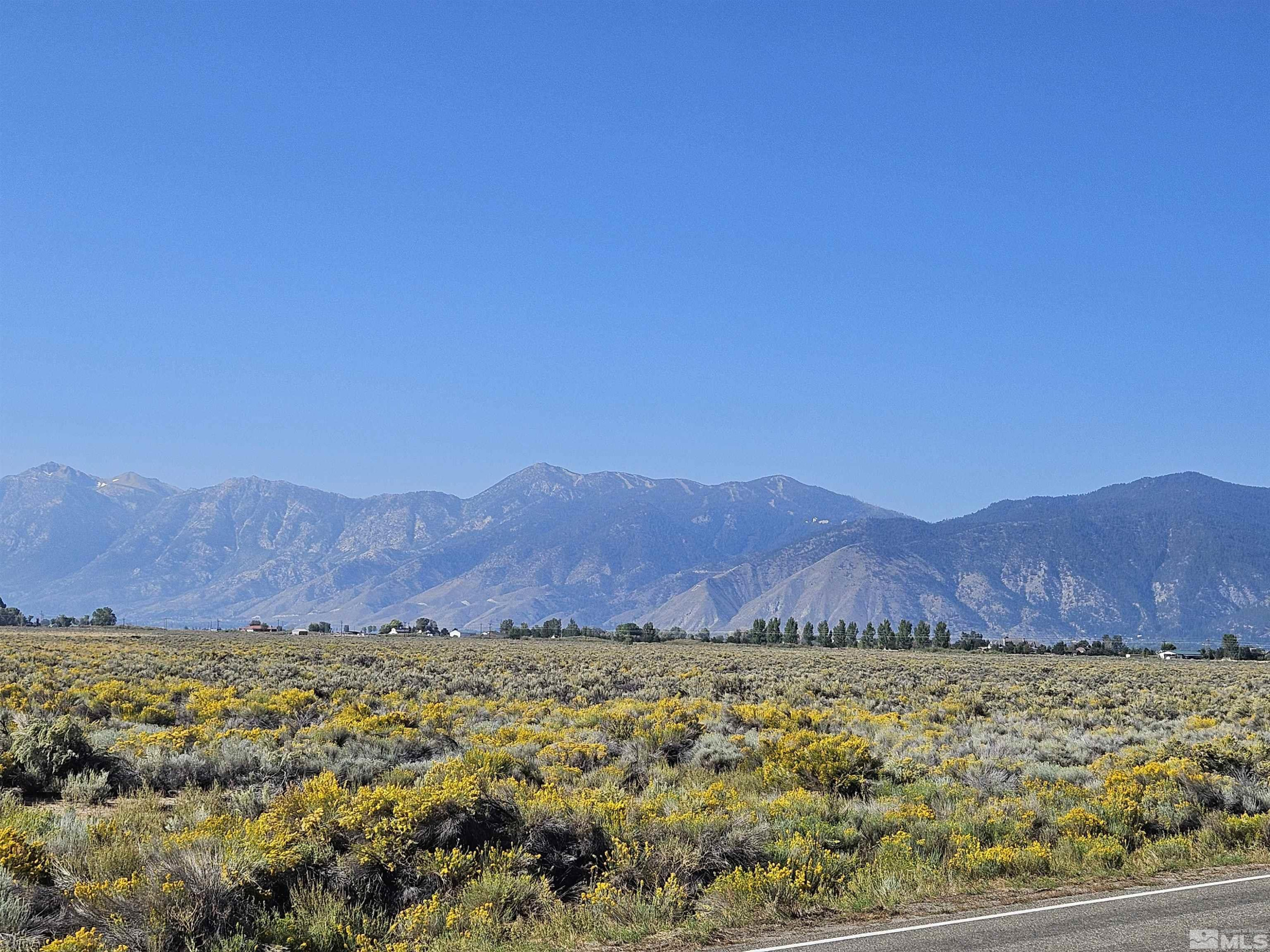 1205 Stephanie Way, Unit 57 Minden, NV 89423 - Photo 6 of 27 a view of a lush green field with mountains in the background