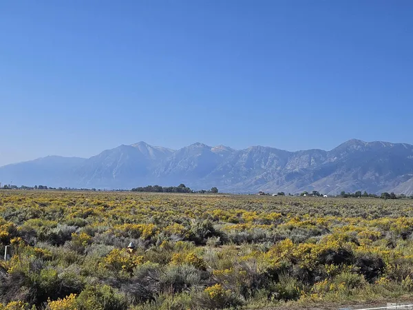 a view of an lush green mountain