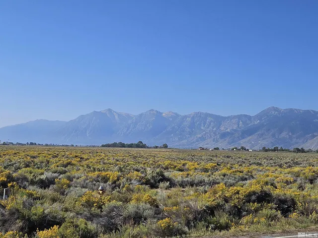 a view of an lush green mountain