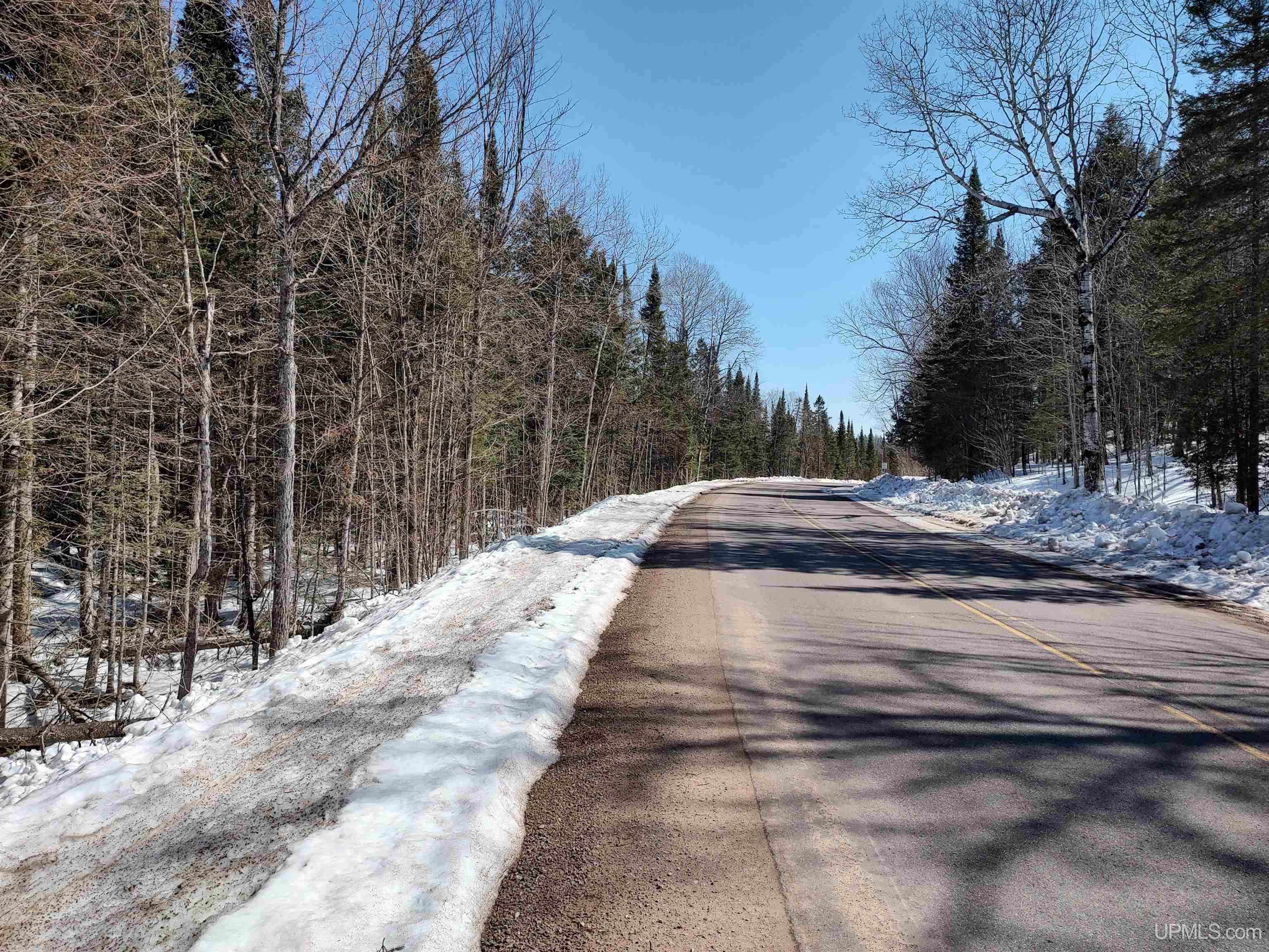 40-acres Little Lake Road Gwinn, MI 49841 - Photo 22 of 25