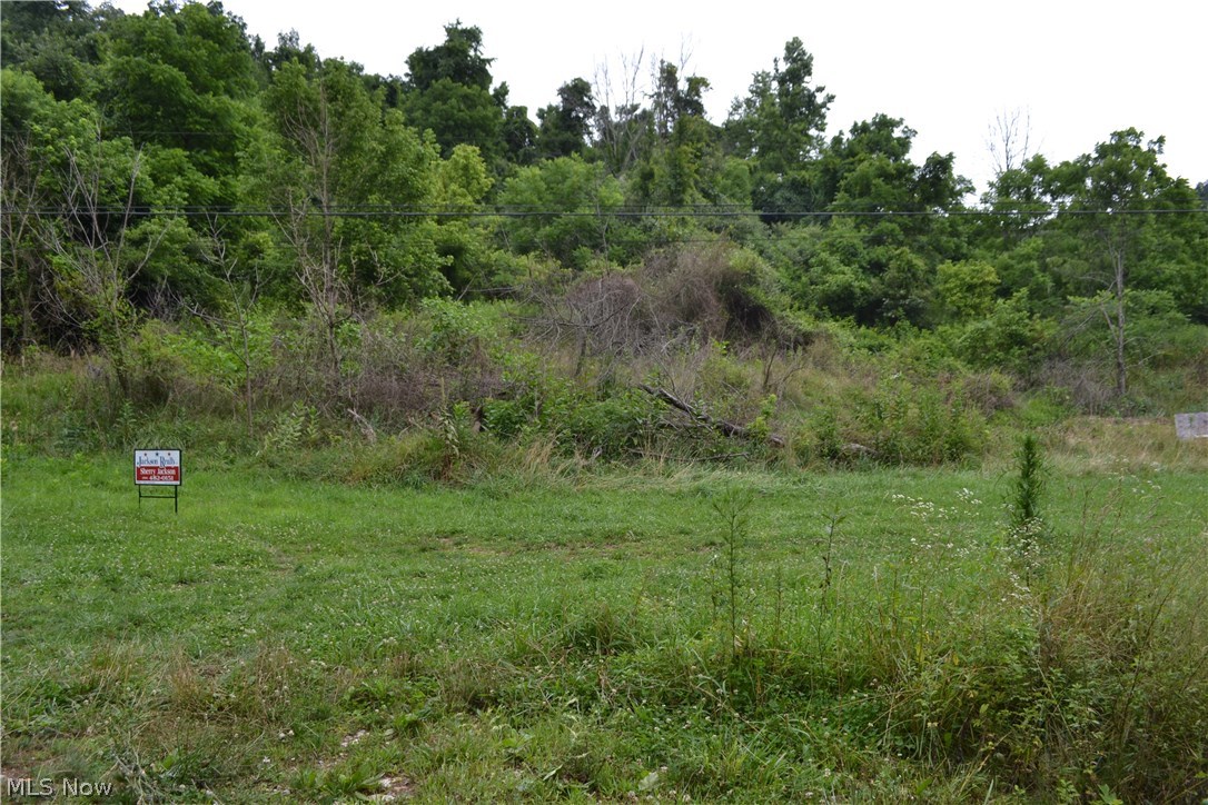 2240 Buck Run Road Mineral Wells, WV 26150 - Photo 13 of 13