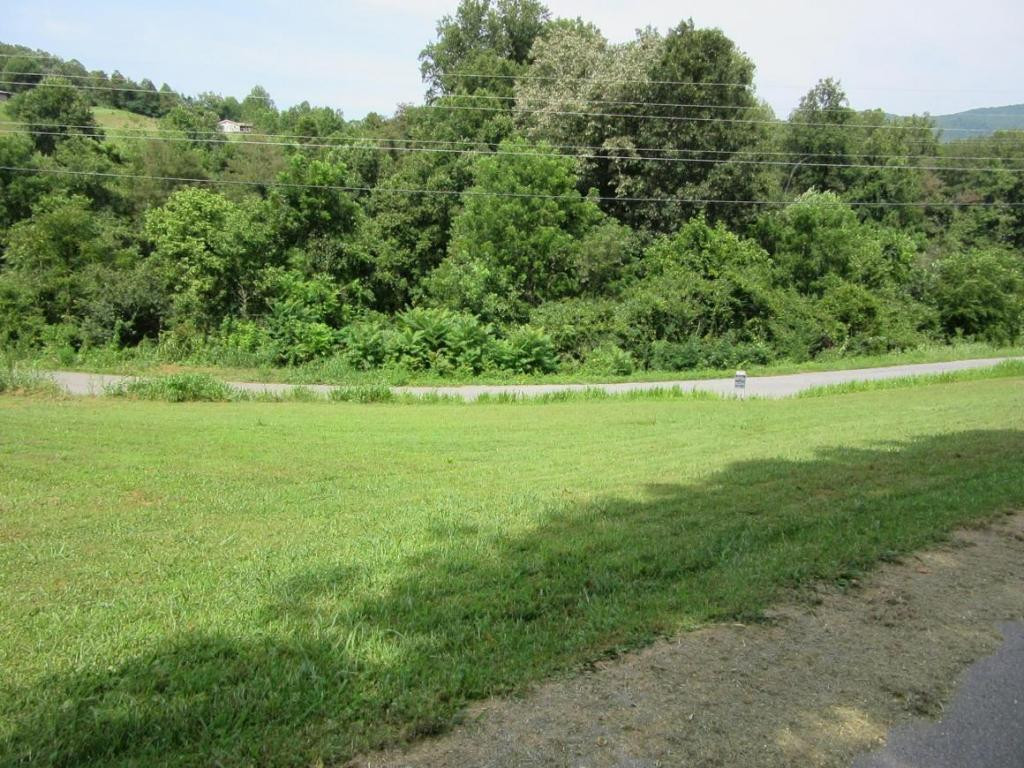 734 Willow Springs Road Elizabethton, TN 37643 - Photo 4 of 9 Photo 4