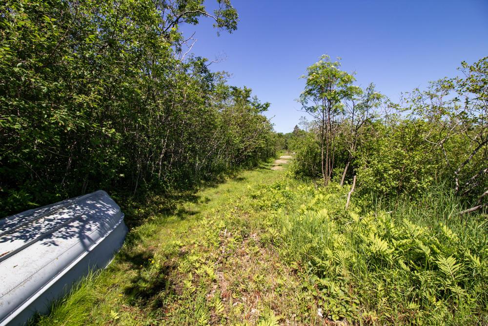 1190 Pigeon Hill Road Steuben, ME 04680 - Photo 11 of 47 IMG_2904