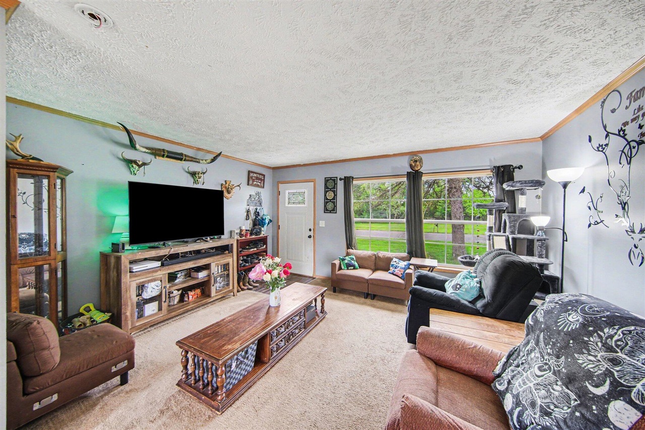 6848 Coon Hill Road Munith, MI 49259 - Photo 3 of 19