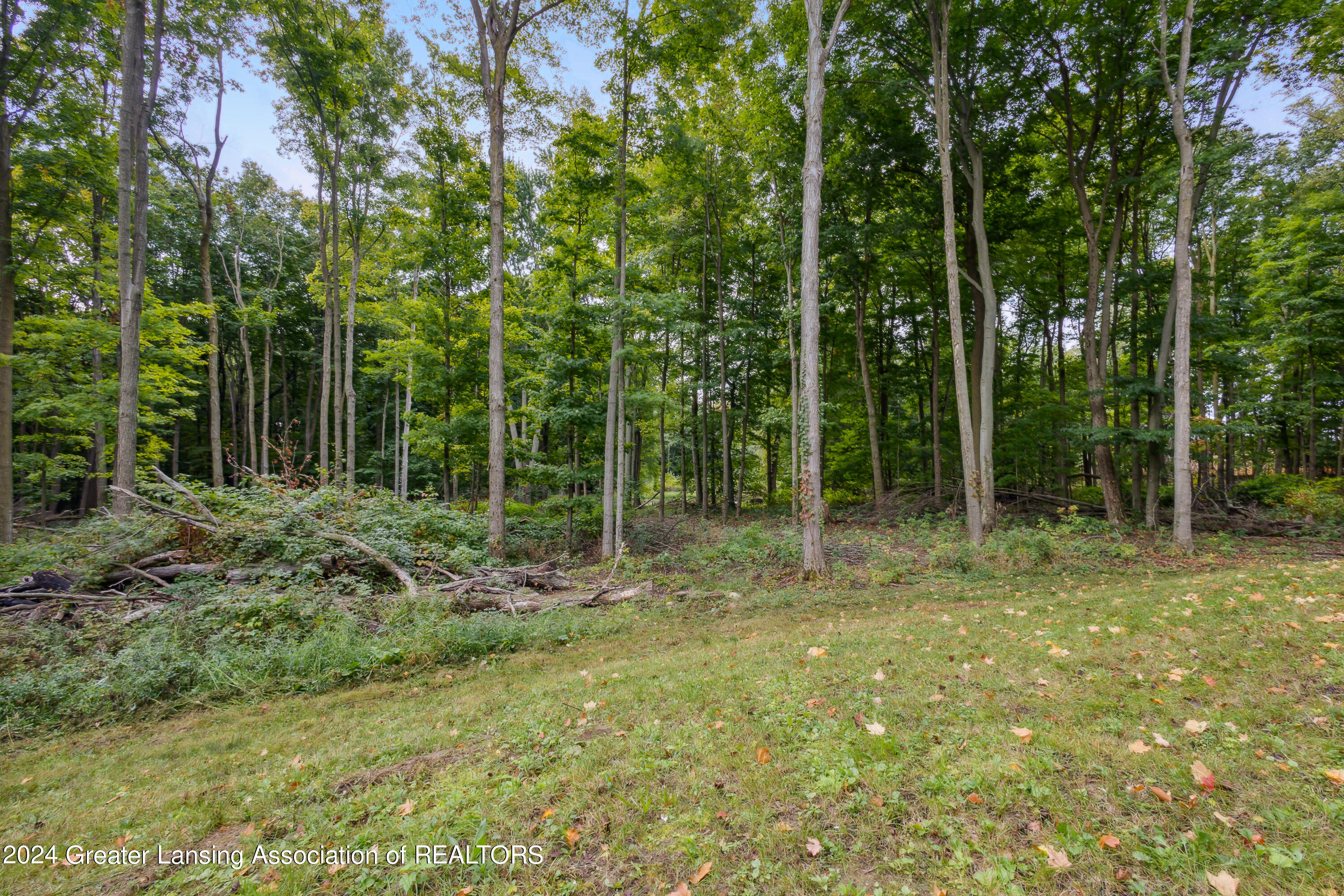 5233 Toles Road Mason, MI 48854 - Photo 46 of 49 52-5233-Toles-Rd-Mason-MI-48854-WindowSt