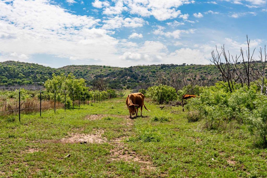 1032 Braune Road Merkel, TX 79536 - Photo 28 of 36 a picture of a garden