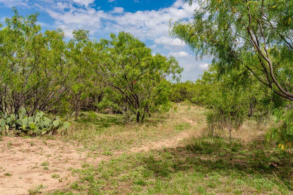 1032 Braune Road Merkel, TX 79536 - Photo 35 of 36 a view of a yard
