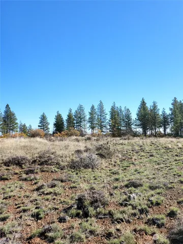 a view of dirt field and trees