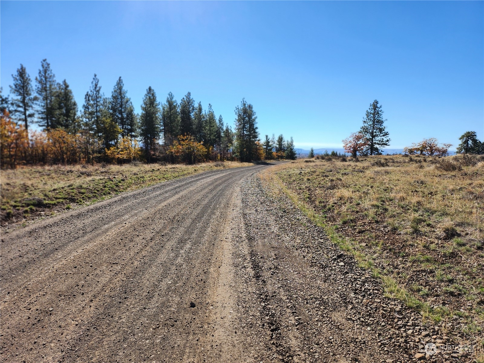 36 Bluebird Ridge, Unit 1 Roosevelt, WA 99356 - Photo 7 of 12 a view of a outdoor space with trees all around