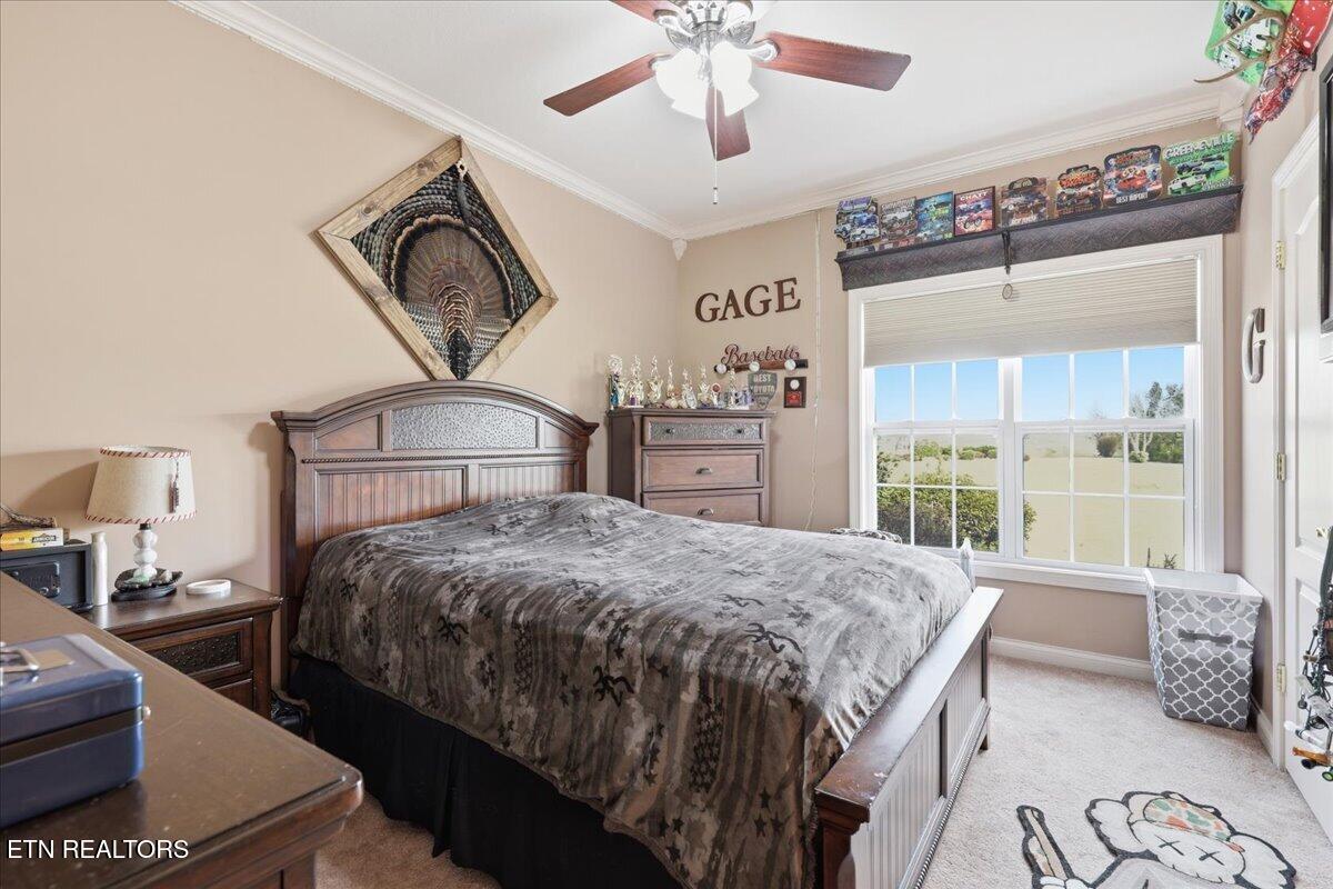 522 Waterstone Circle Greeneville, TN 37745 - Photo 30 of 60 31-008_7K9A6248