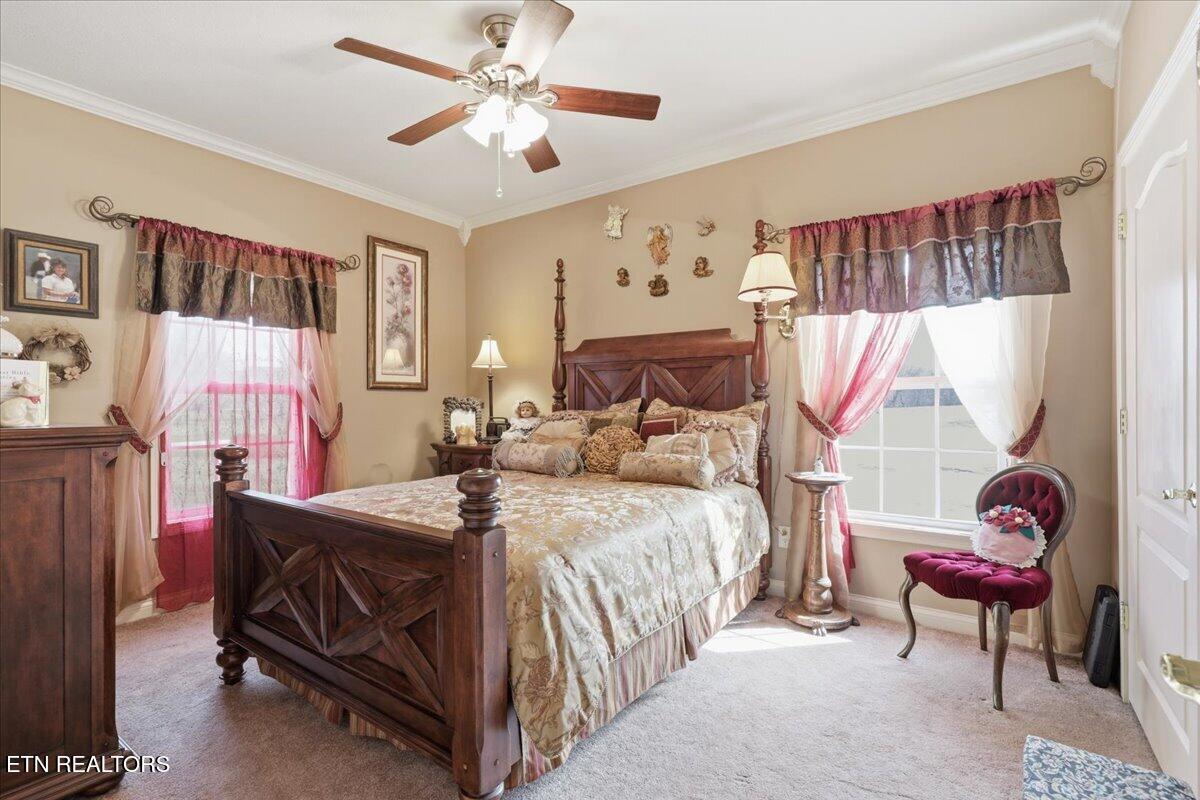 522 Waterstone Circle Greeneville, TN 37745 - Photo 33 of 60 34-011_7K9A6257