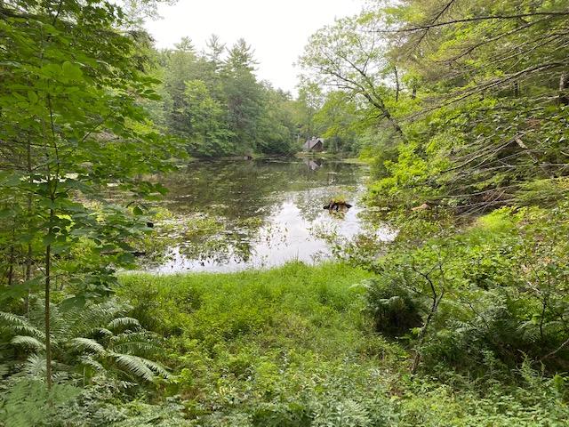 340 Gore Road Naples, ME 04055 - Photo 2 of 7 Sebago Cove Access