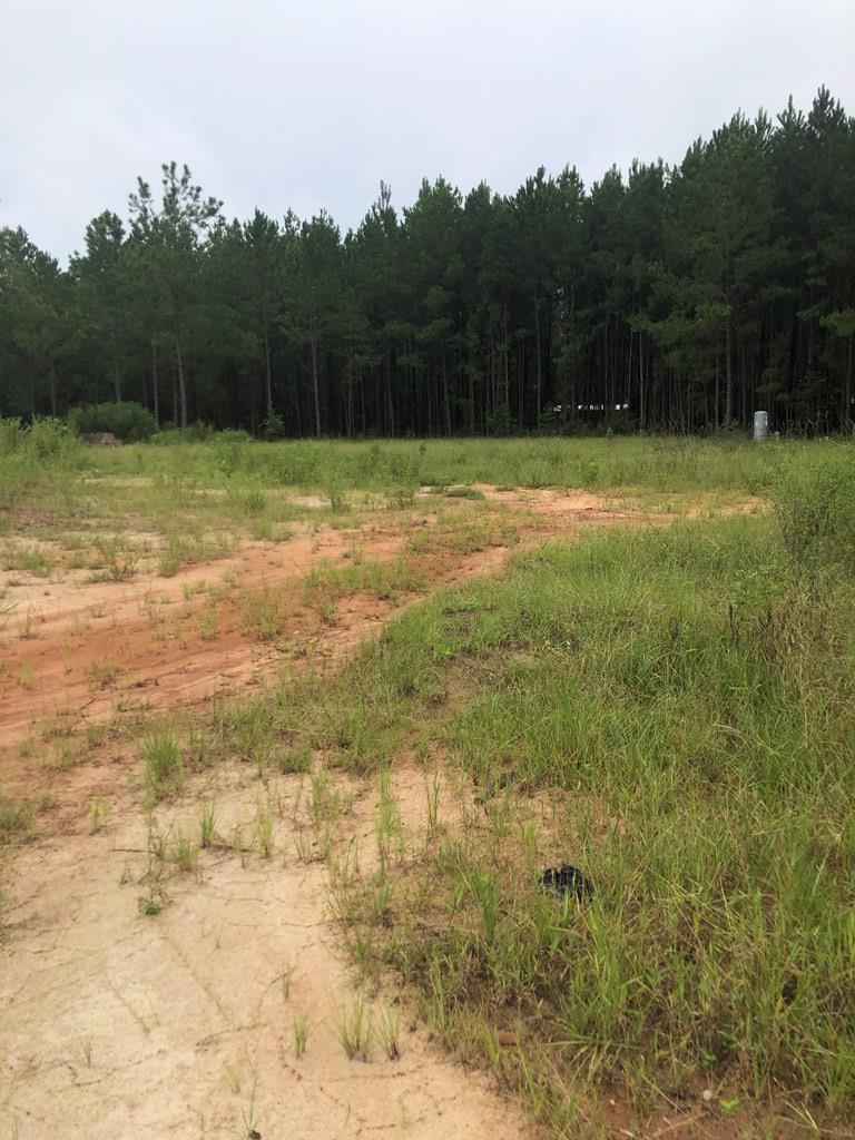 5335 Shiloh Road Hahira, GA 31632 - Photo 31 of 34 Gallery Image 31